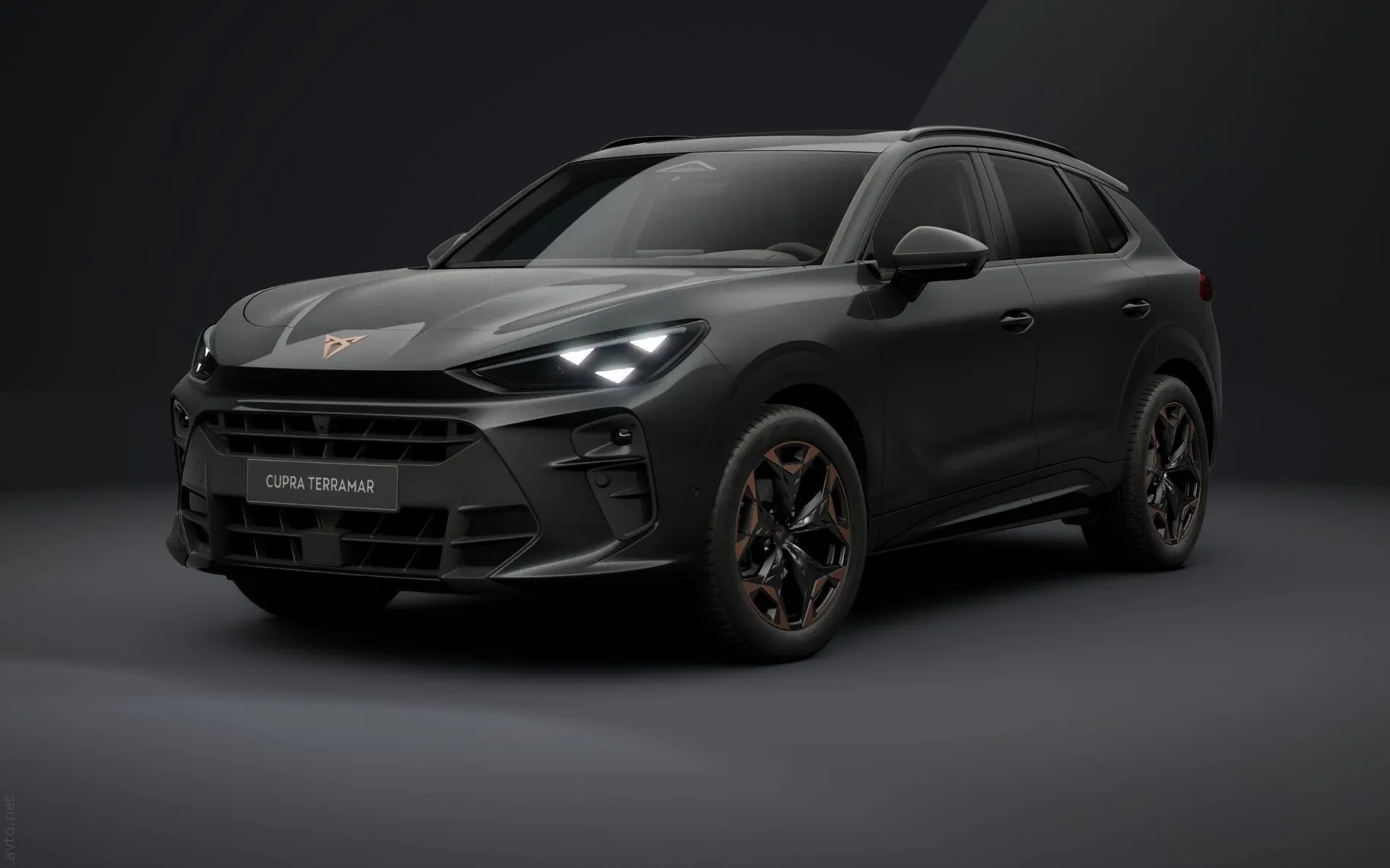 Zunanja slika - Cupra Terramar - 1.5 eTSI DSG - 1