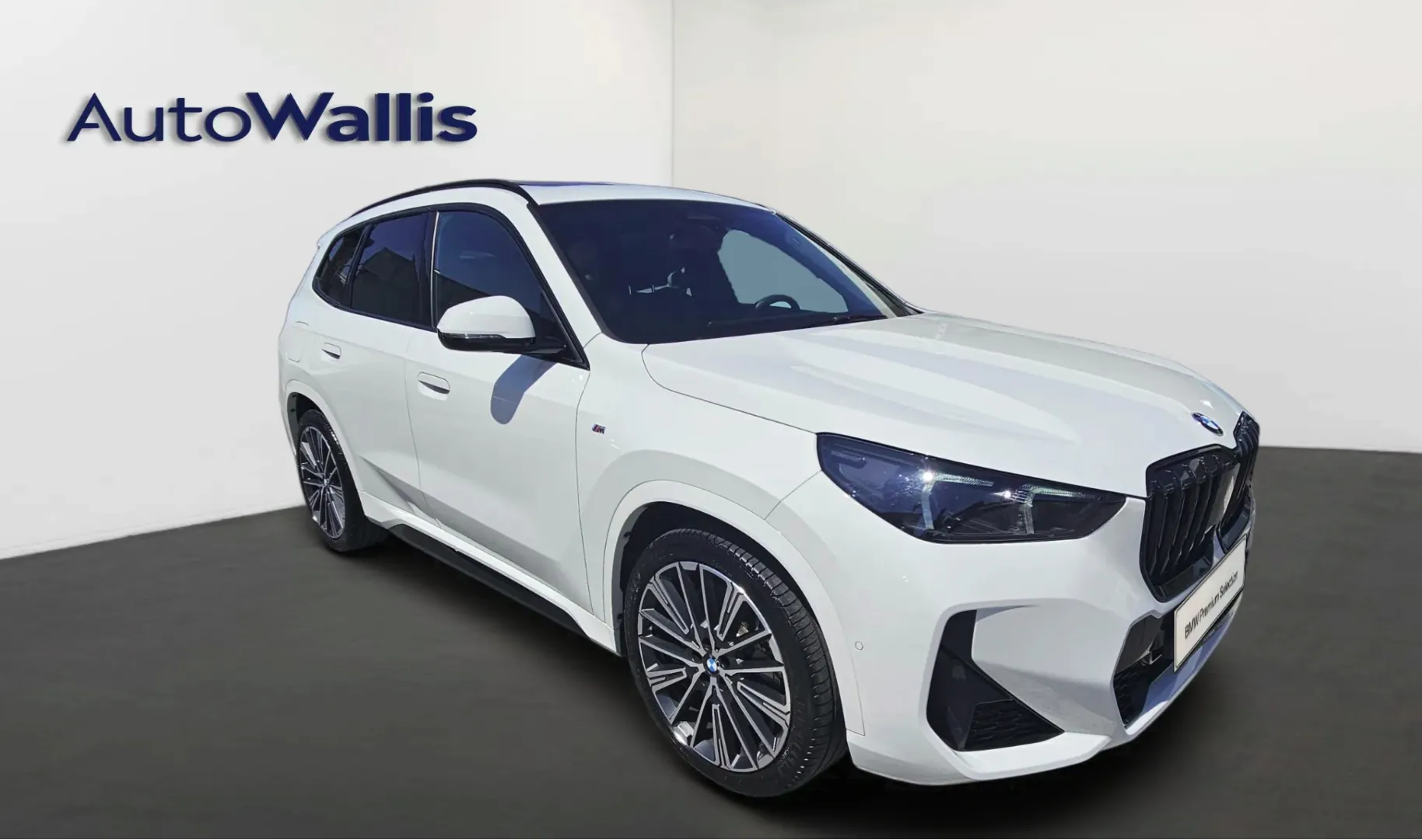 Zunanja slika - BMW X1 - xDrive23d - 11