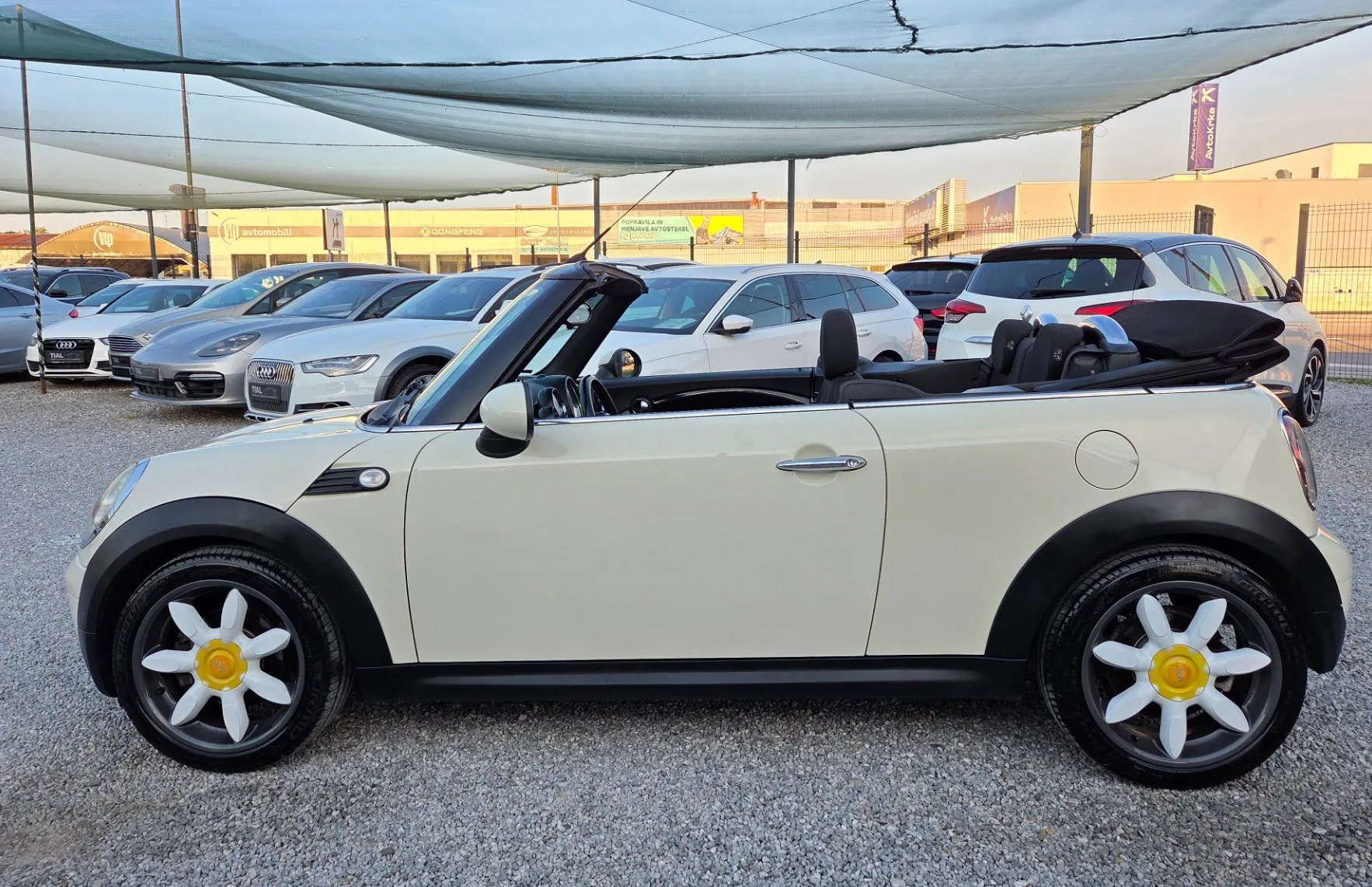 Zunanja slika - MINI Cabrio - One KLIMA-ALU17-BI XENON-USNJE-SERVISNA - 4