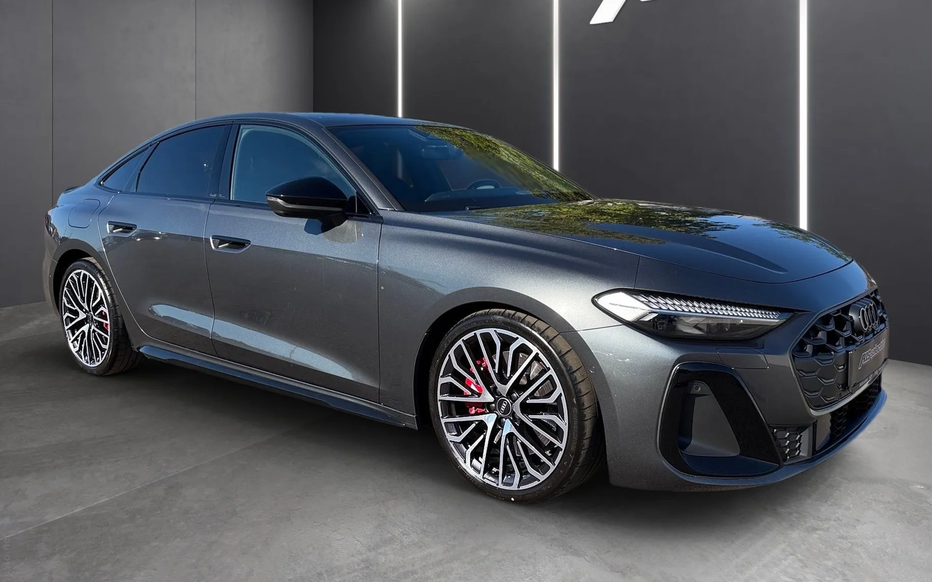 Zunanja slika - Audi S5 - limuzina-SLO-Panorama-Tech PRO-20 COL-Webasto.... - 2