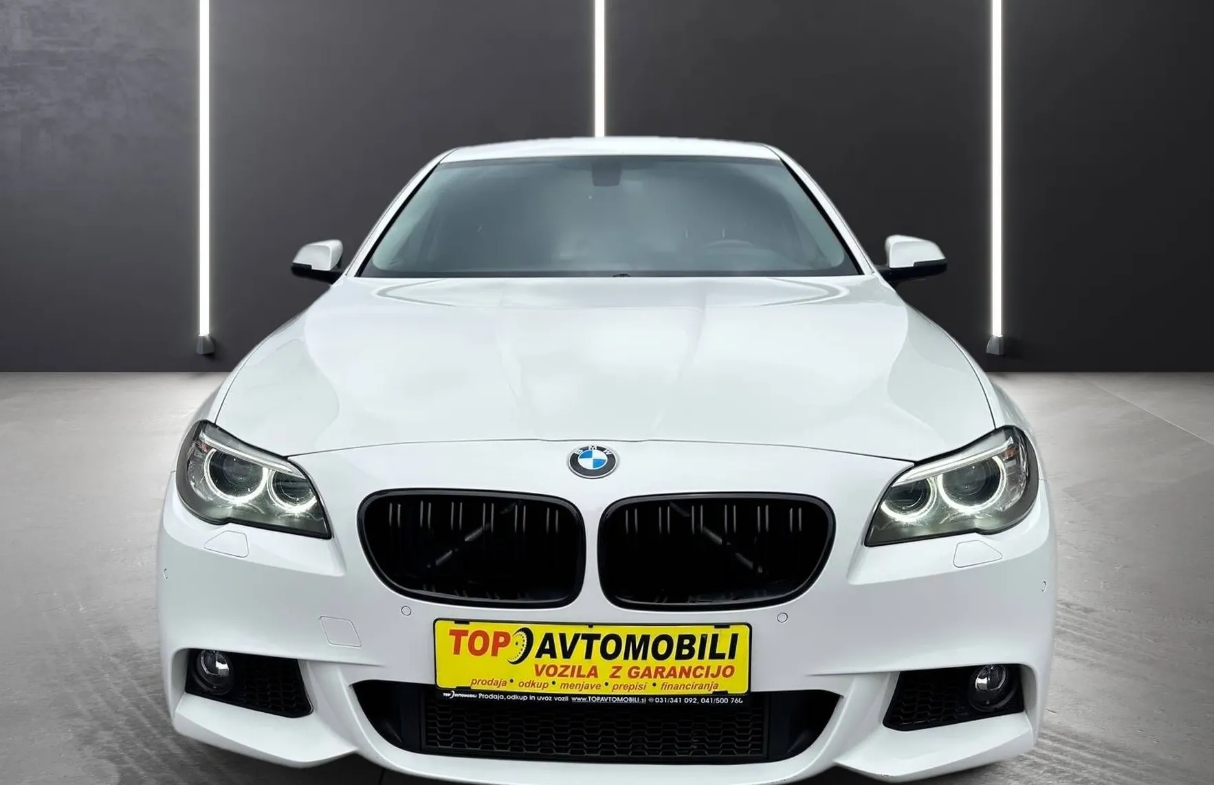 Zunanja slika - BMW Serija 5 - Touring: 520d M SPORT PAKET BI-XENON NAVI TEMP PDC HI-FI - 12