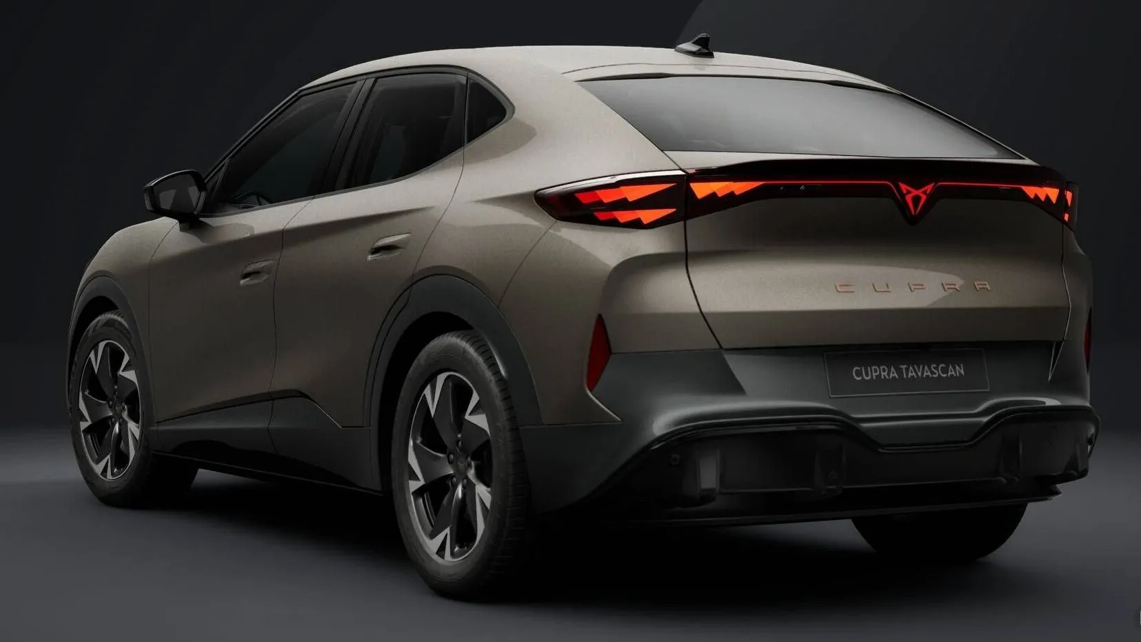 Zunanja slika - Cupra Tavascan - Endurance - Novo modelsko leto... - 3