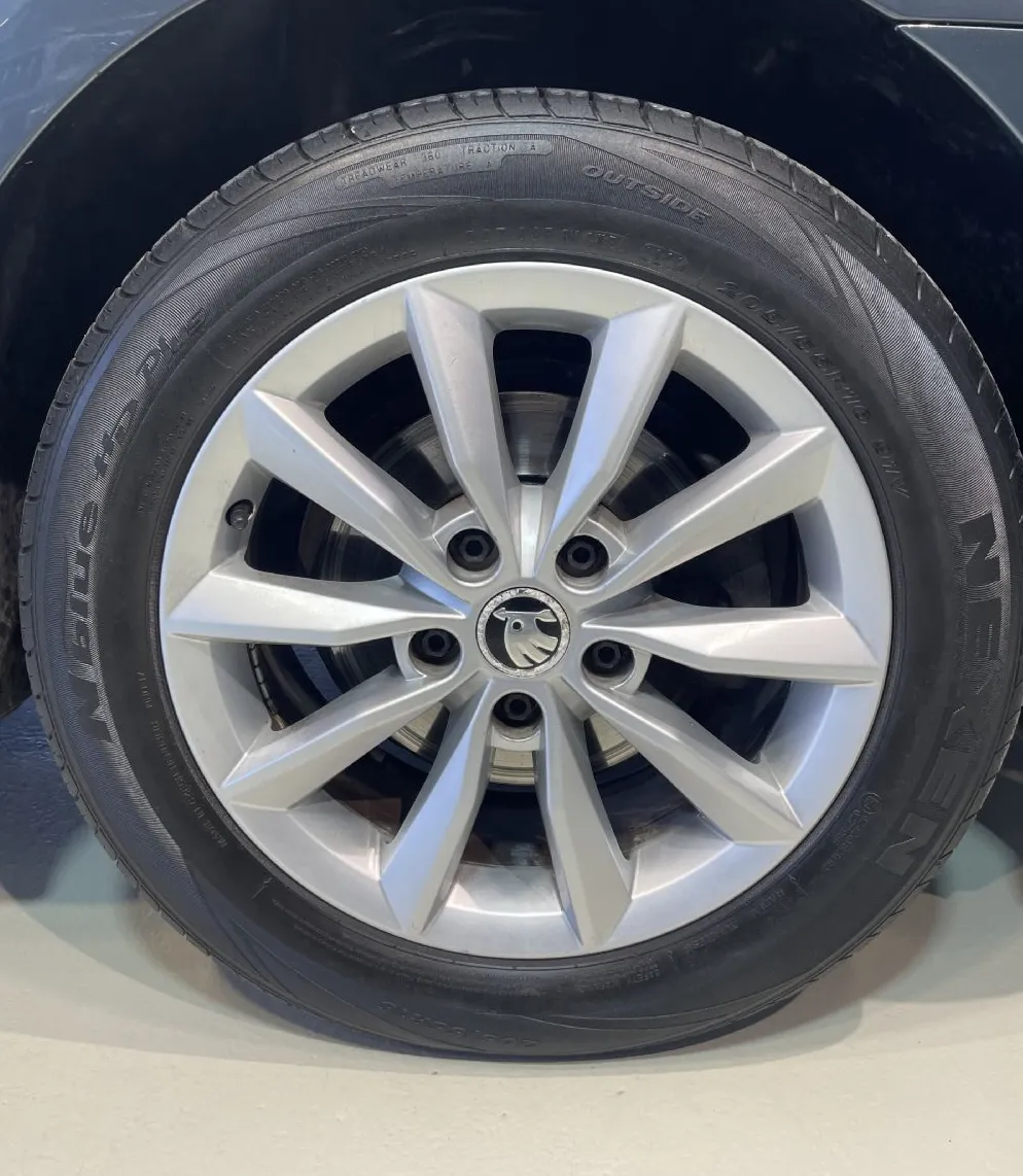 Zunanja slika - Škoda Octavia - VELIK SERVIS-NAVIGACIJA-TEMPOMAT-PDC-ALU-AVT.KLIMA - 17