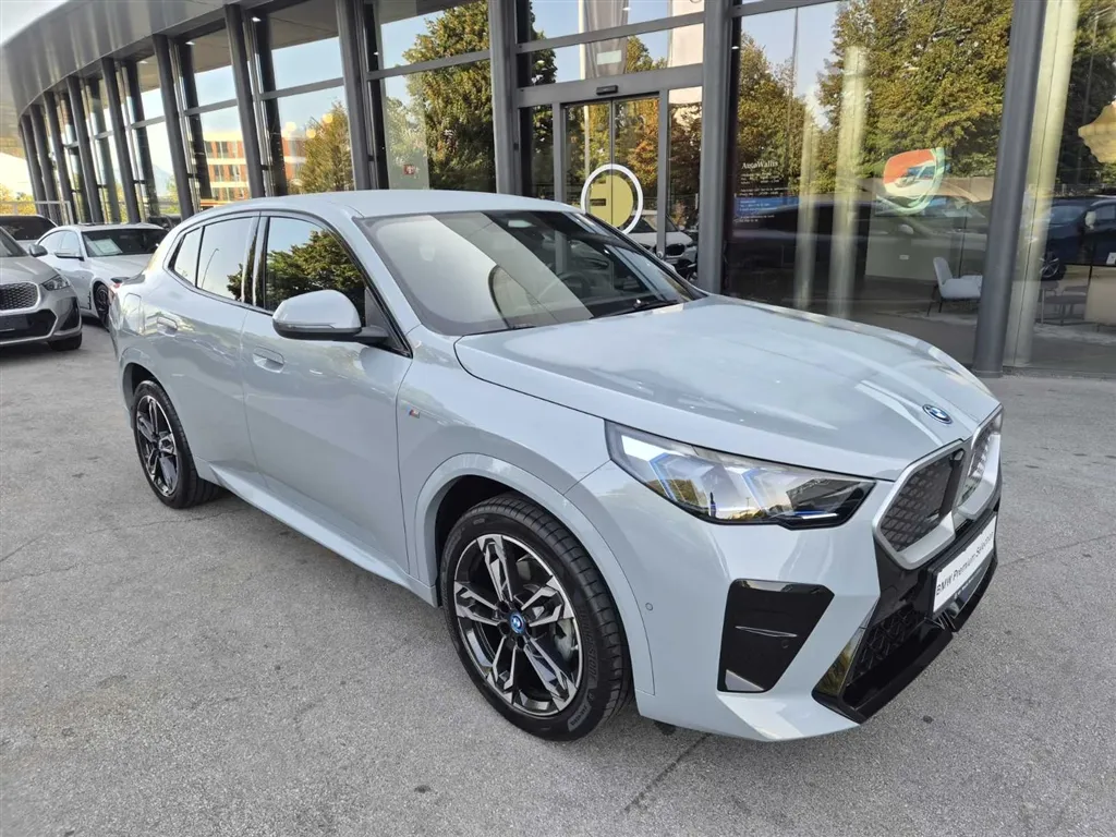 Zunanja slika - BMW iX - 2 eDrive20 - 1