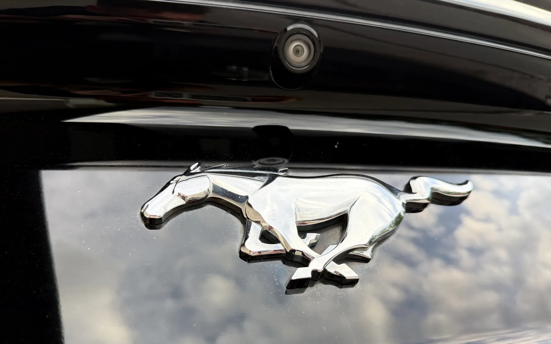 Zunanja slika - Ford Mustang - 2.3 EcoBoost 2.LASTNIK ACC HLAJENJE SED. ALU 19 - 8