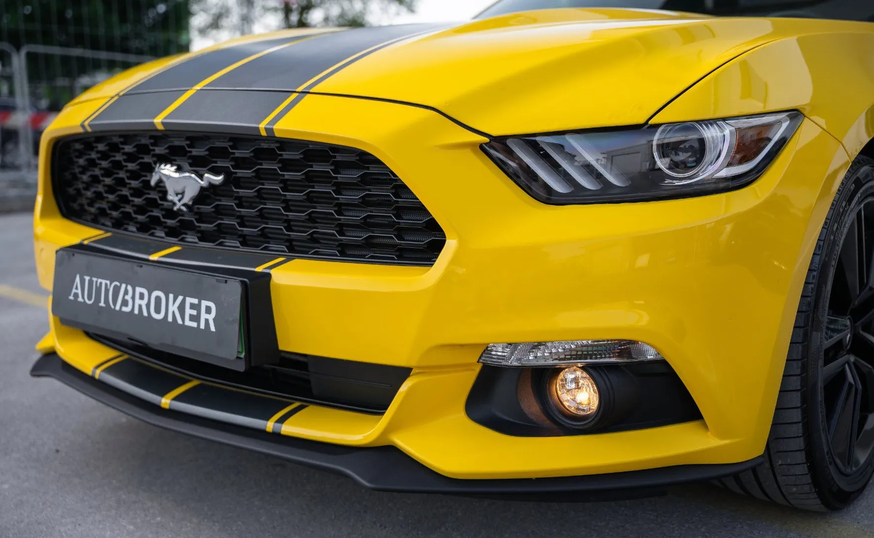 Zunanja slika - Ford Mustang - 2.3 EcoBoost kamera xenon ambientalna osvet. - 10