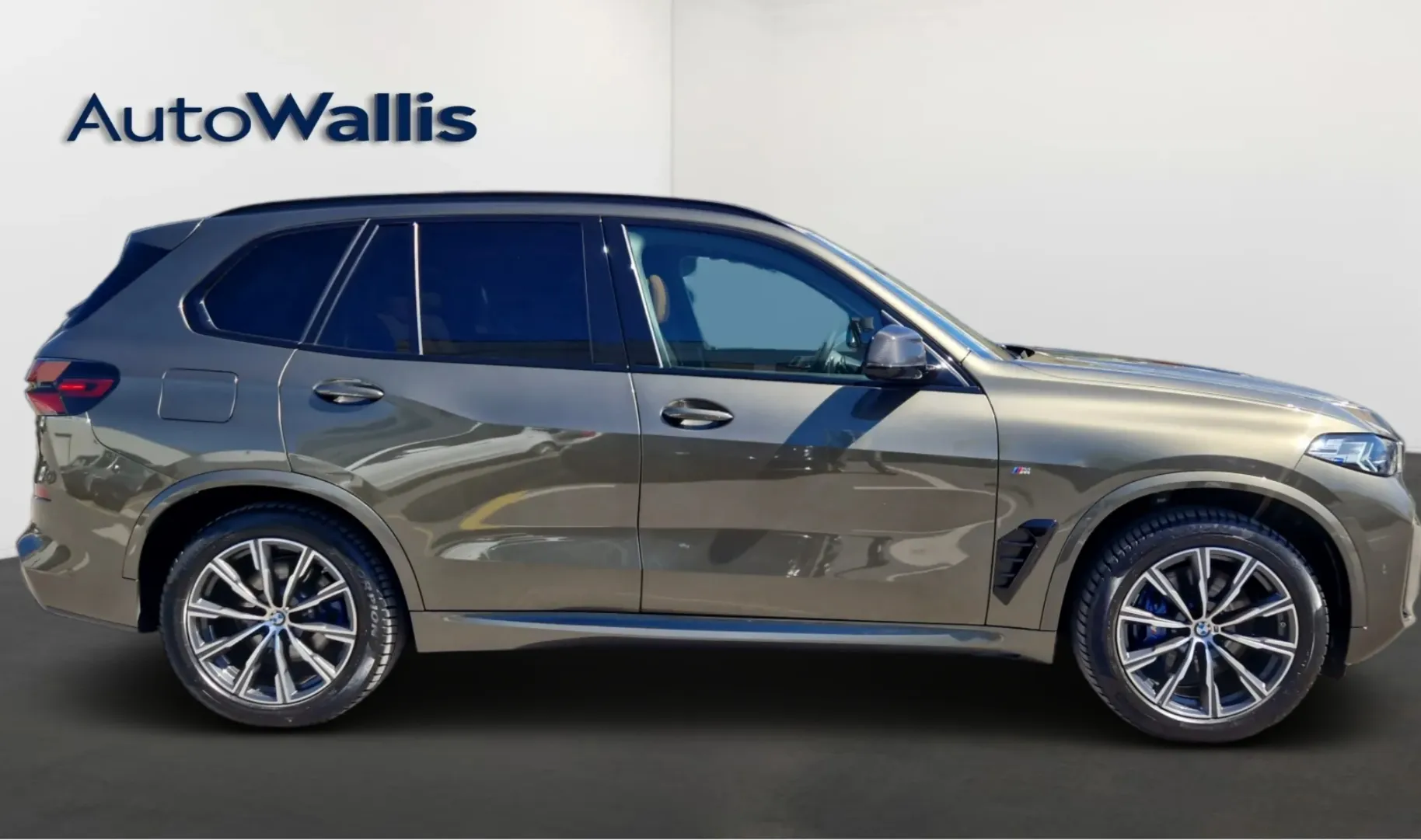 Zunanja slika - BMW X5 - xDrive30d - 13