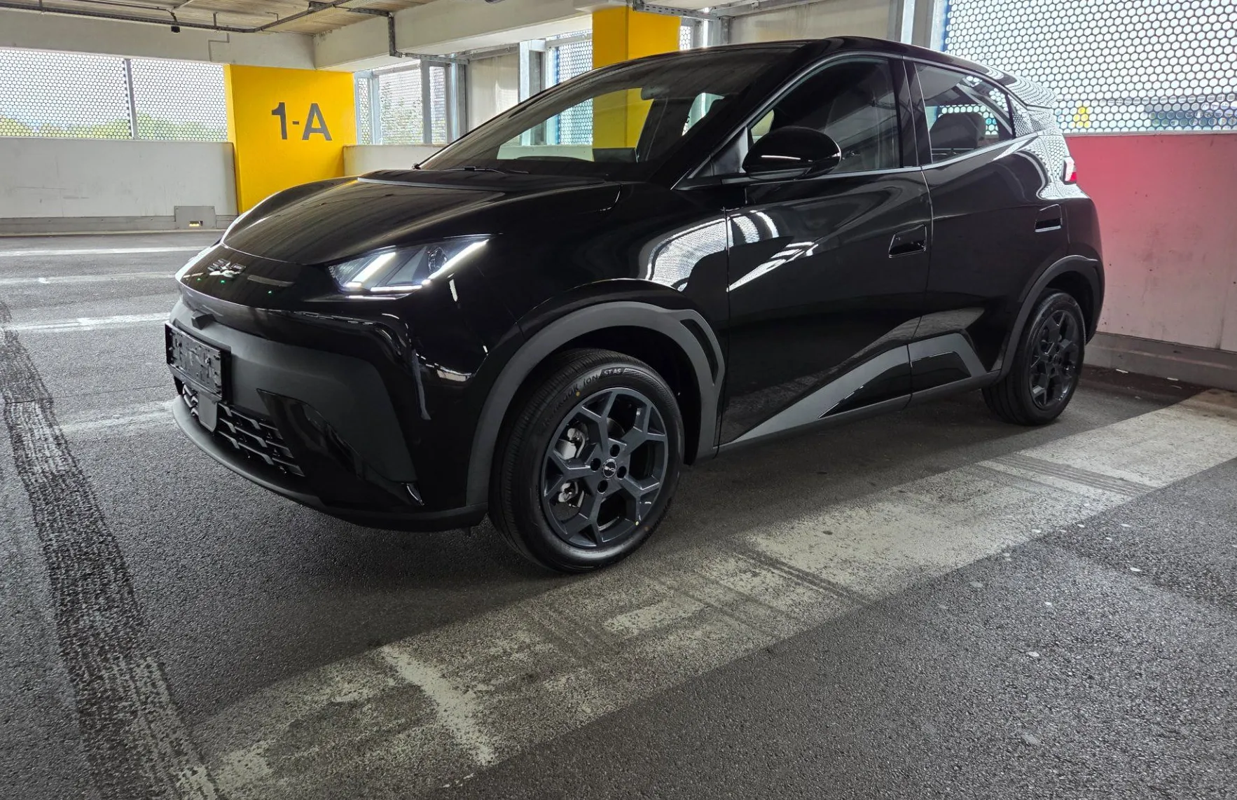 BYD DOLPHIN SURF