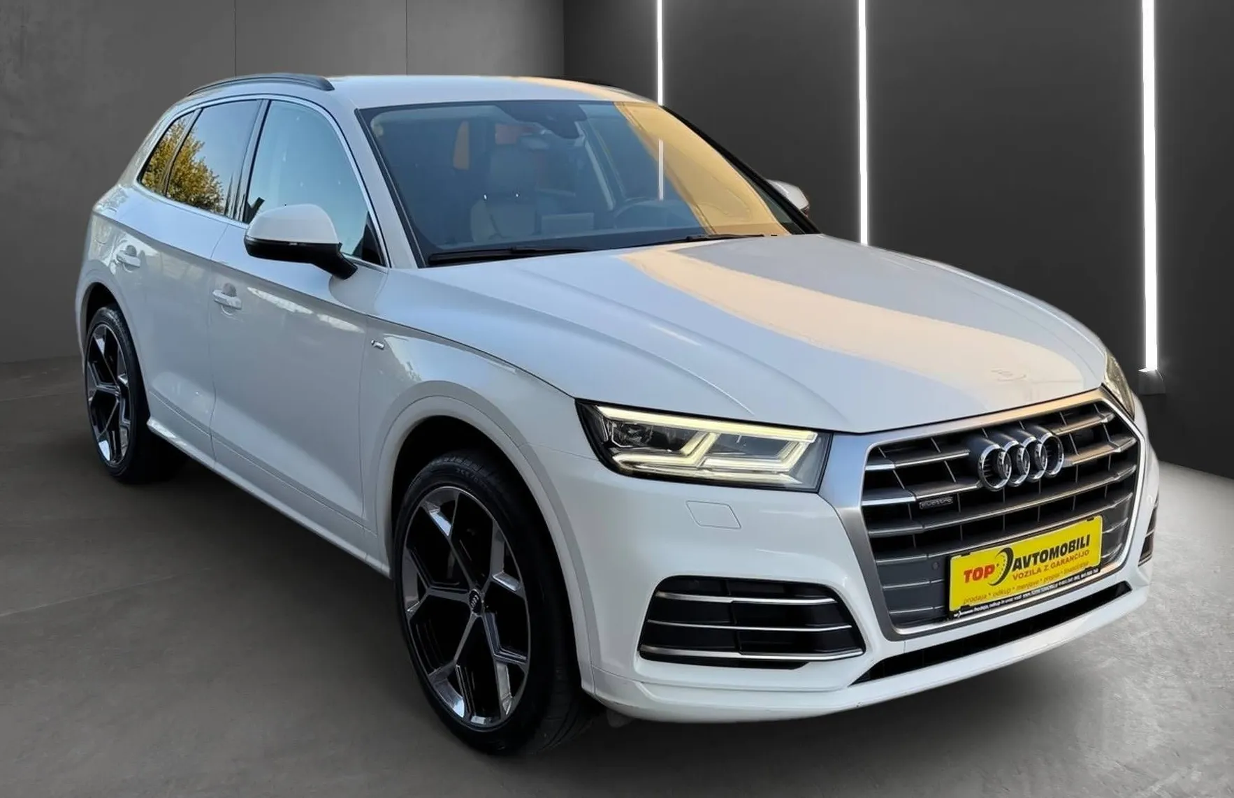 Zunanja slika - Audi Q5 - 2.0 TDI 4X4 S LINE MATRIX NAVIGACIJA GR.SEDEŽEV T. - 10