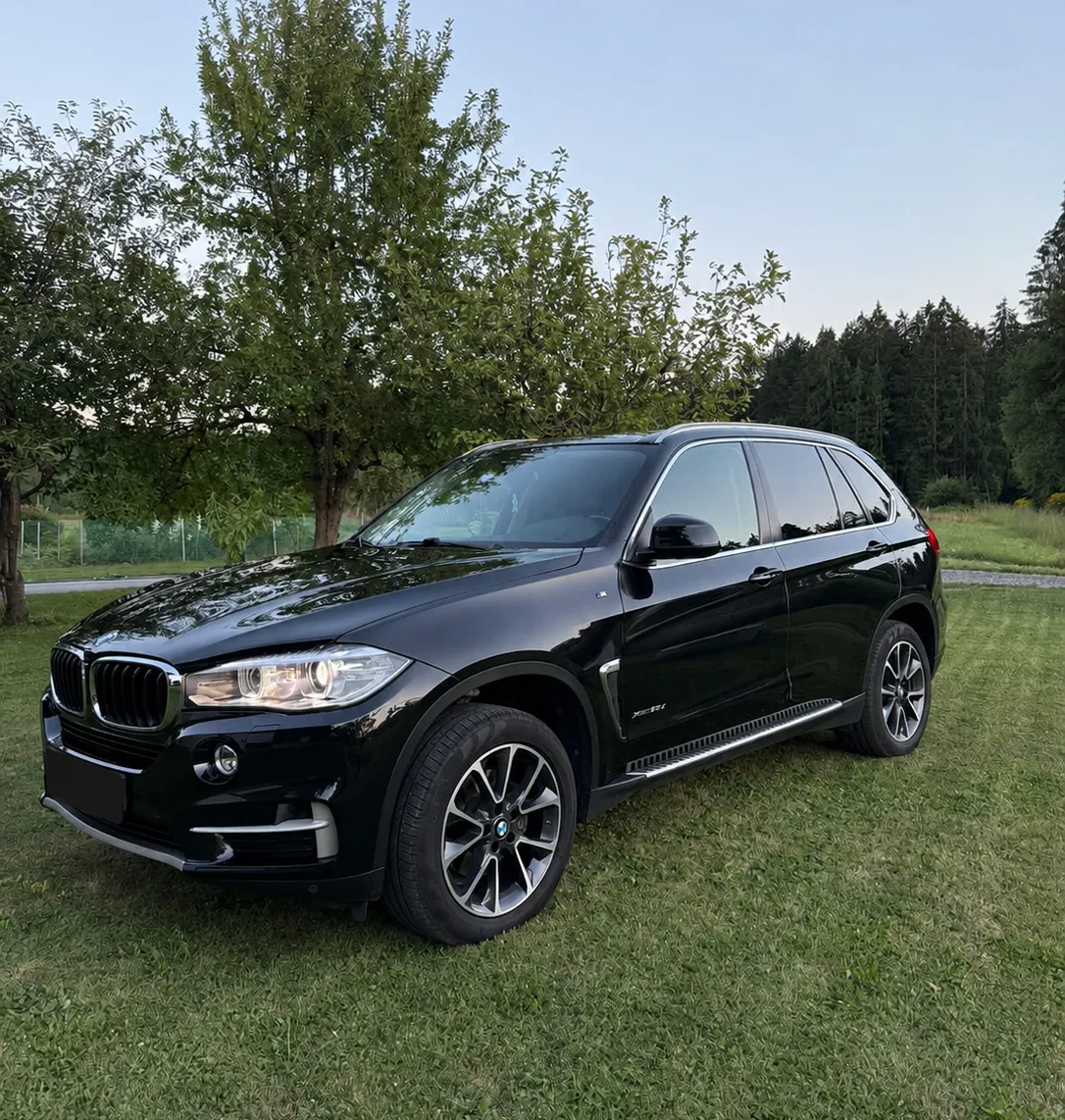 Zunanja slika - BMW X5 - xDrive30d Avt. - 1