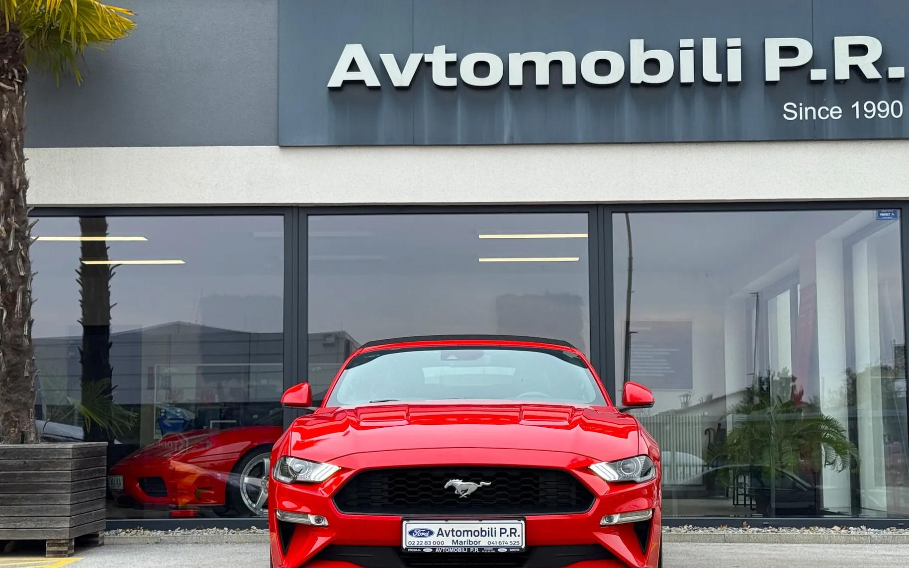 Zunanja slika - Ford Mustang - 2.3 EcoBoost 290KM AVT SLO samo 58.254 km ODLIČEN - 1