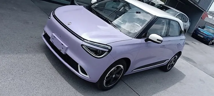 Zunanja slika - Dongfeng Box - PURPLE DESIRE - 12