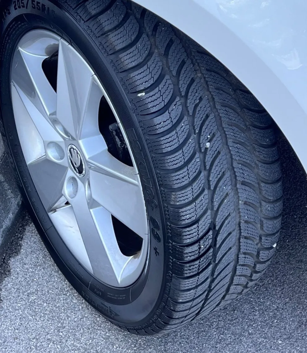 Zunanja slika - Škoda Octavia - 1.2 TSI+1.LAST+SLO+ALU+PDC - 19