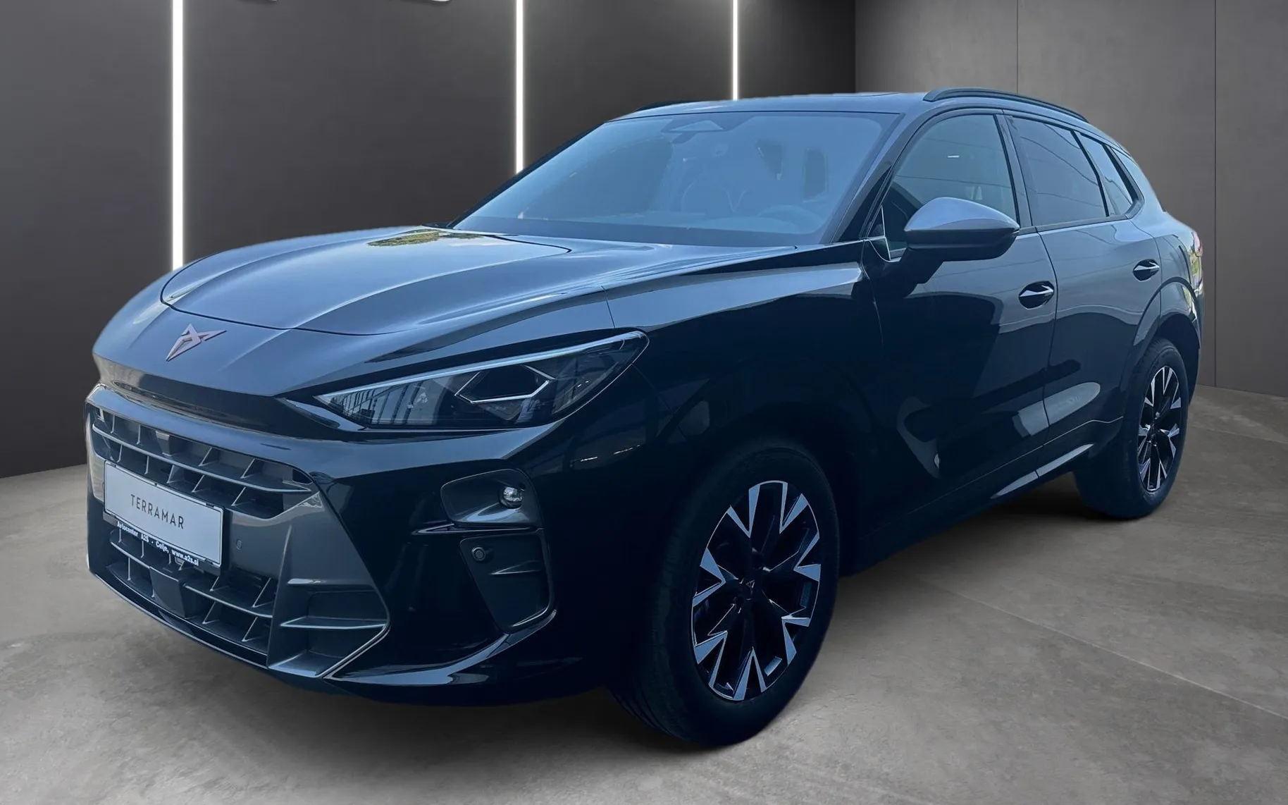Zunanja slika - Cupra Terramar - 1.5 eTSI Impulse DSG - 1