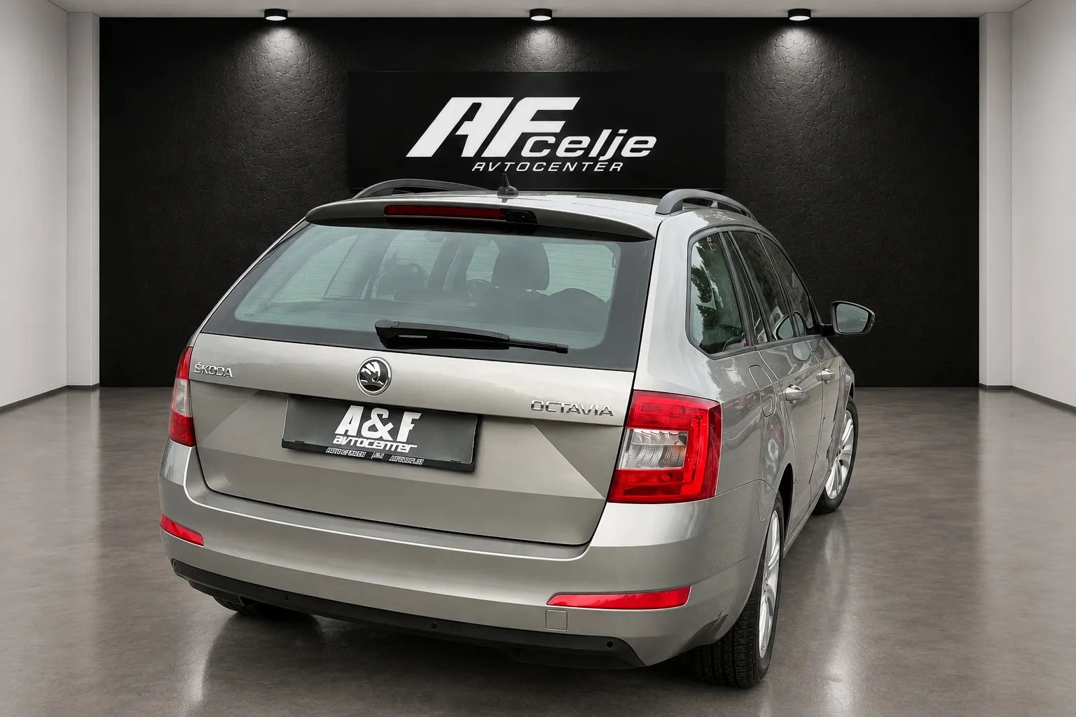 Zunanja slika - Škoda Octavia - 1.6 TDI-NAVIGACIJA-LIZING ZA TUJCE-TEMPOMAT - 5
