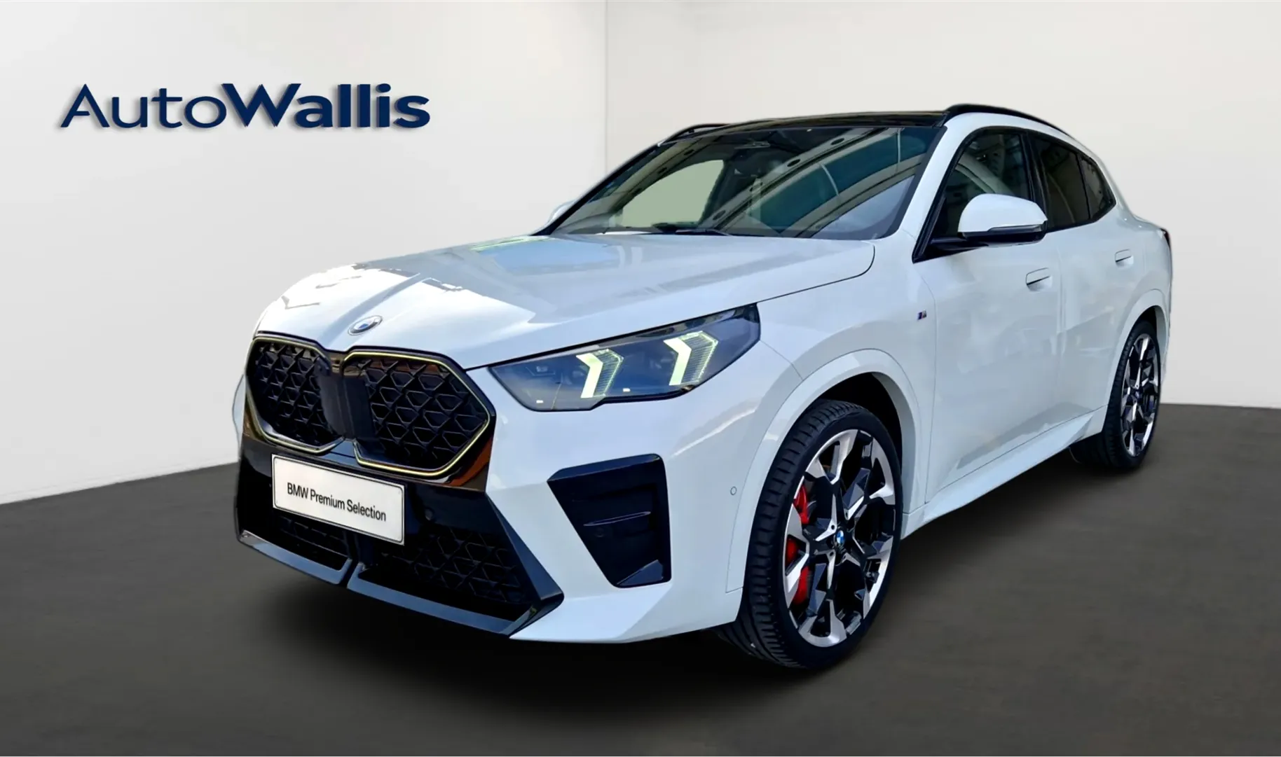 Zunanja slika - BMW X2 - xDrive20d - 1