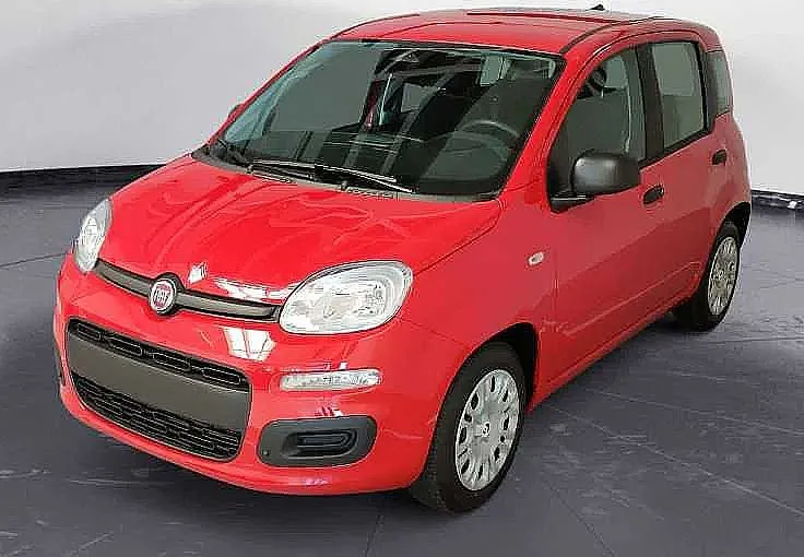 Zunanja slika - Fiat Panda - PANDINA - 1