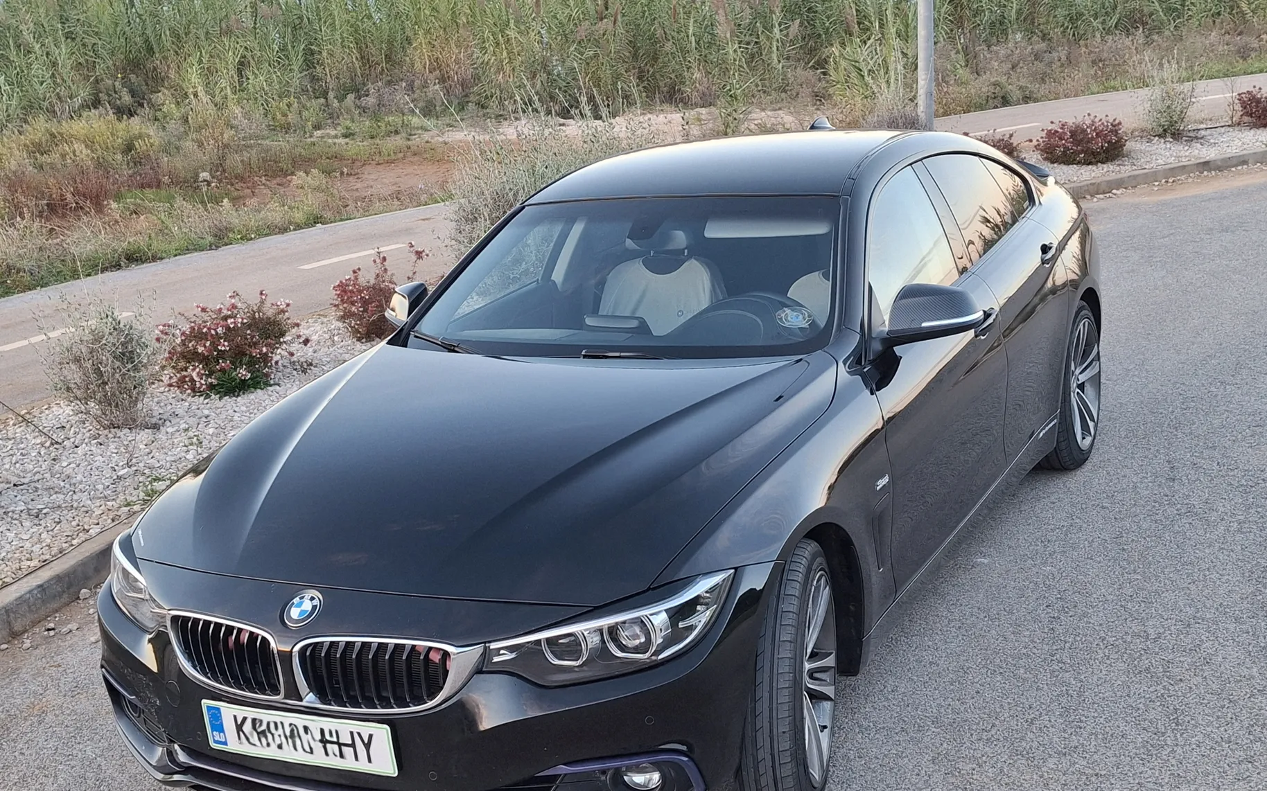 Zunanja slika - BMW Serija 4 - 420i Gran Coupé - 12