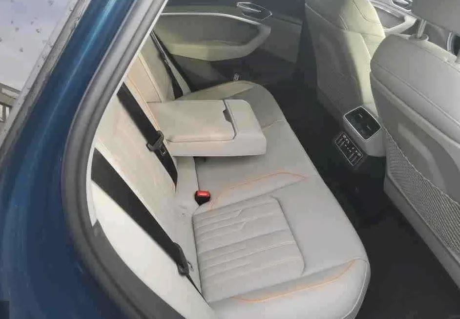 Zunanja slika - Audi e-tron - 55 quattro Advanced.NEMŠKI.PANORAMA.KLJUKA.USNJE - 16