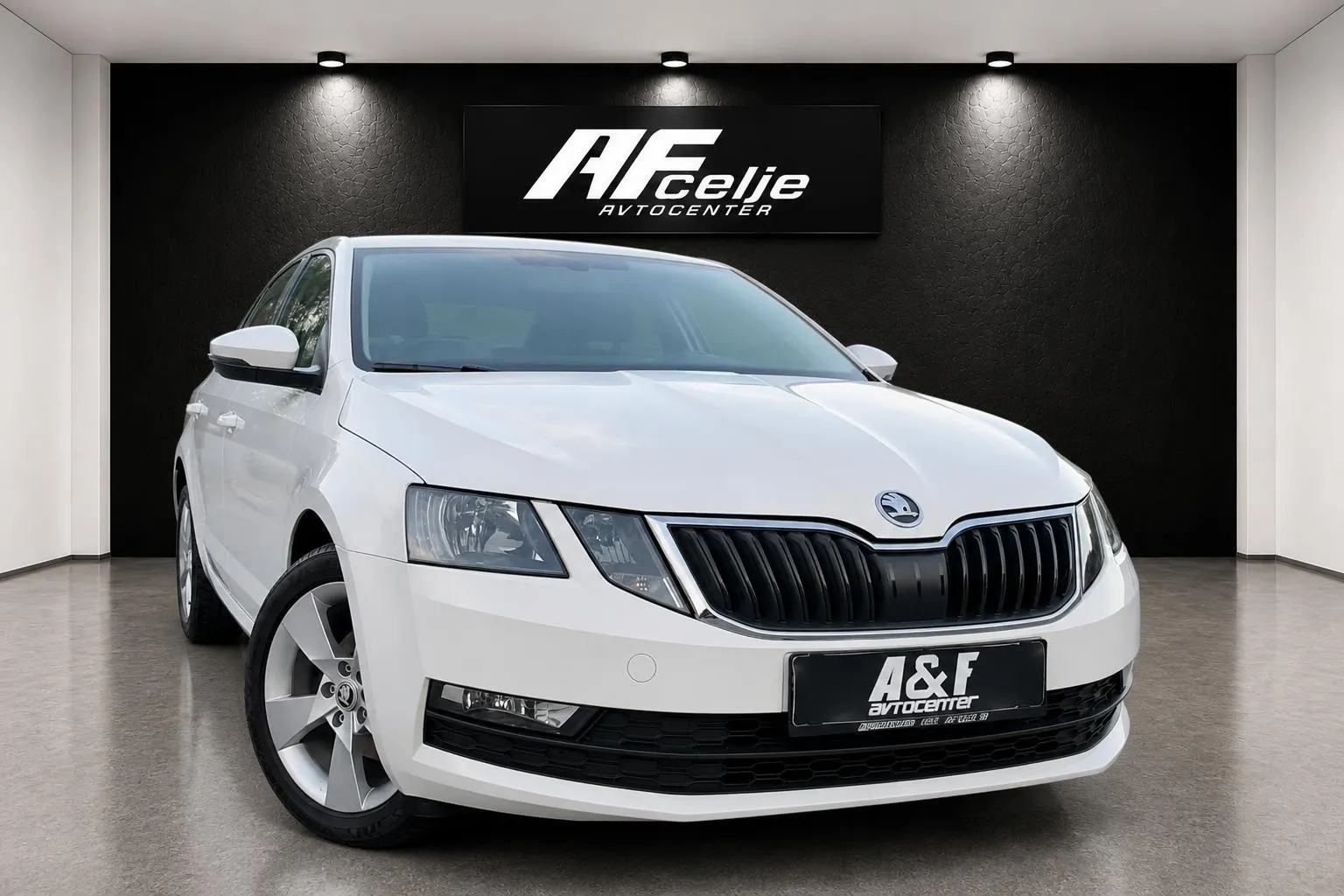 Zunanja slika - Škoda Octavia - 1.6 TDI-LED-LIZING ZA TUJCE-TEMPOMAT-PDC- - 2