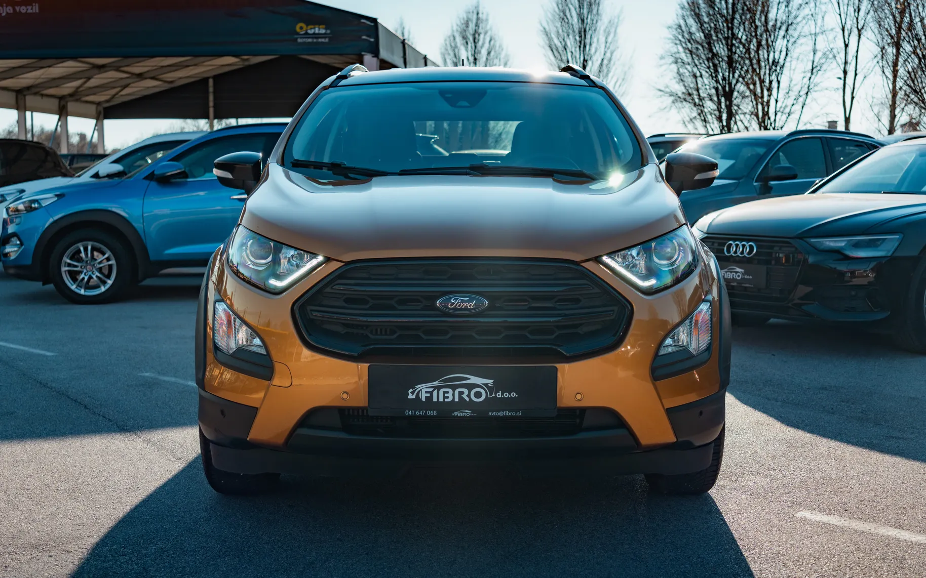 Zunanja slika - Ford Ecosport - 1,0 EcoBoost Style - 2