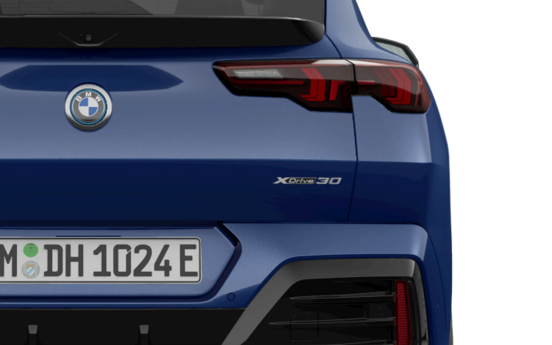 Zunanja slika - BMW iX - 2 xDrive30 - 6