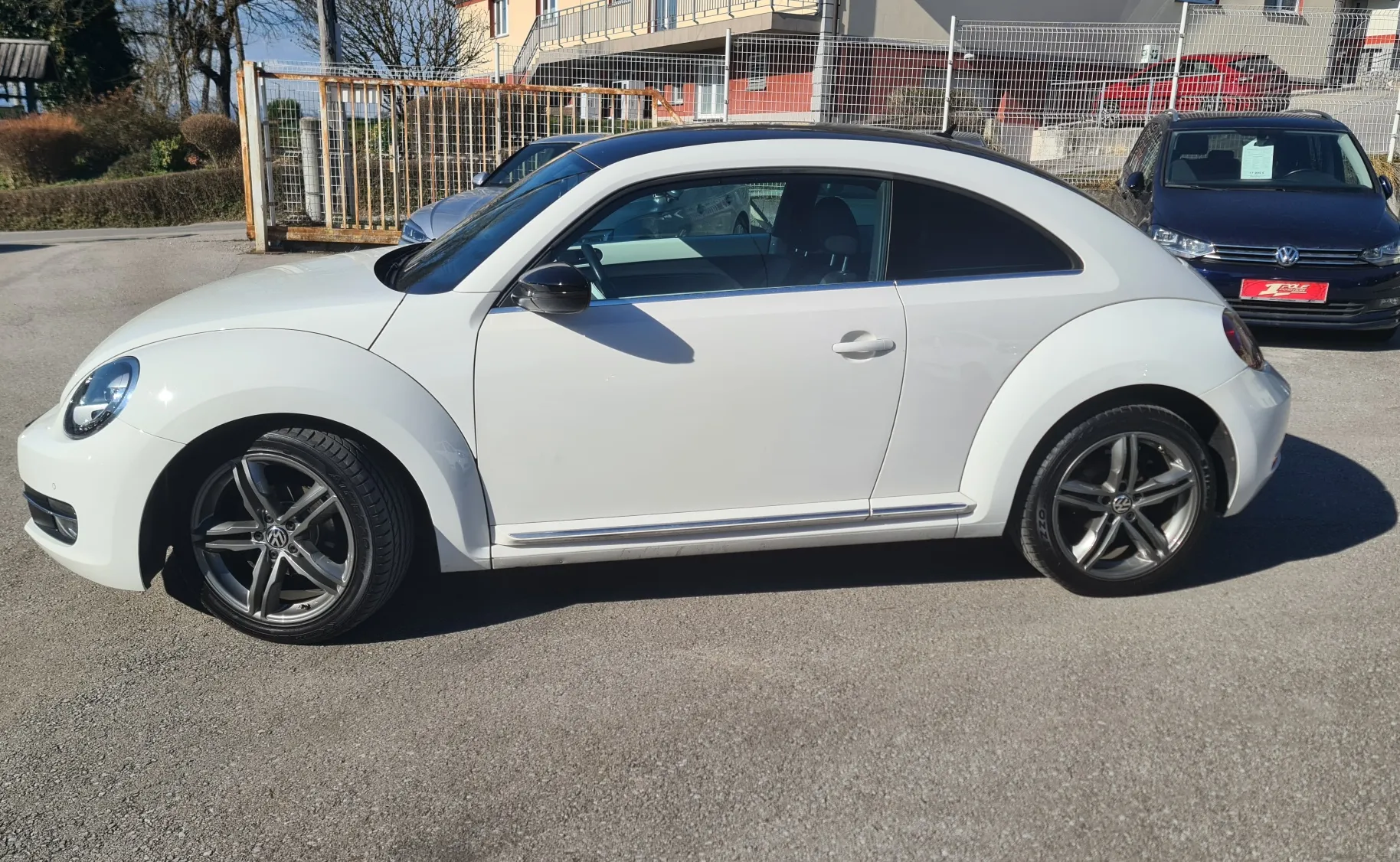 Zunanja slika - VW Beetle - Beetle - 8