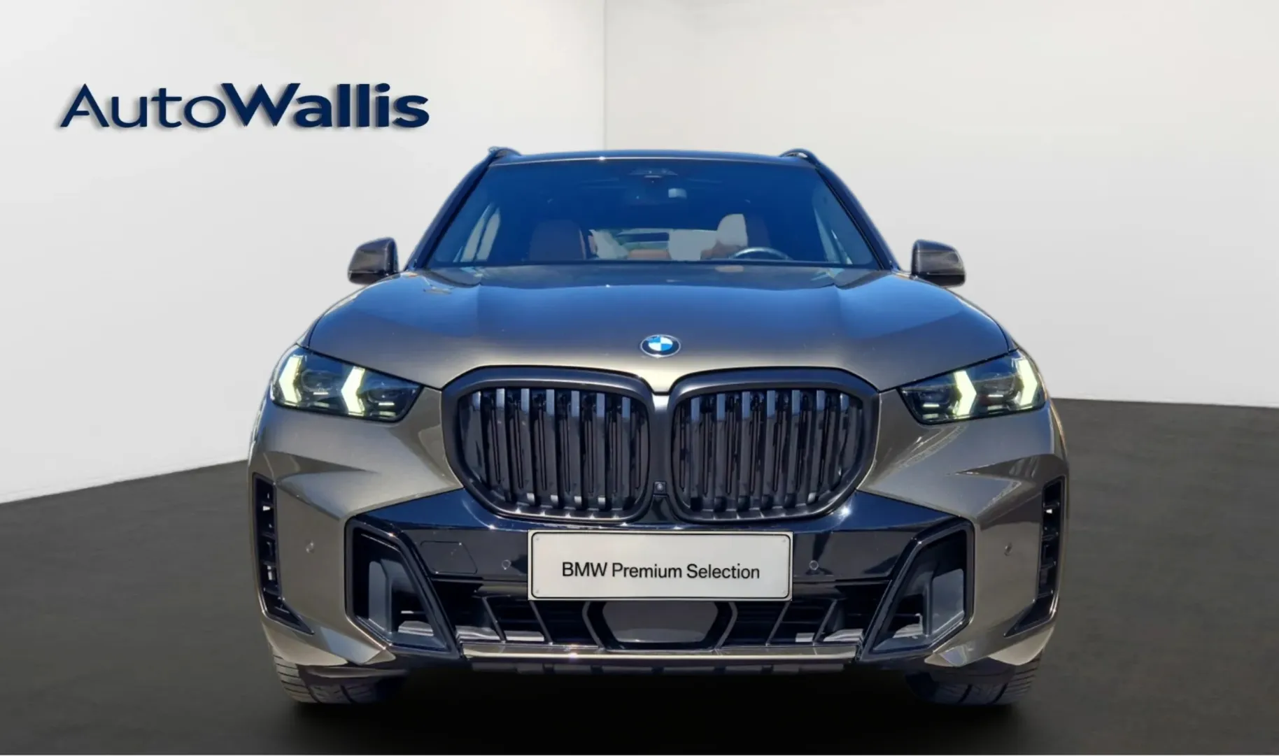 Zunanja slika - BMW X5 - xDrive30d - 14