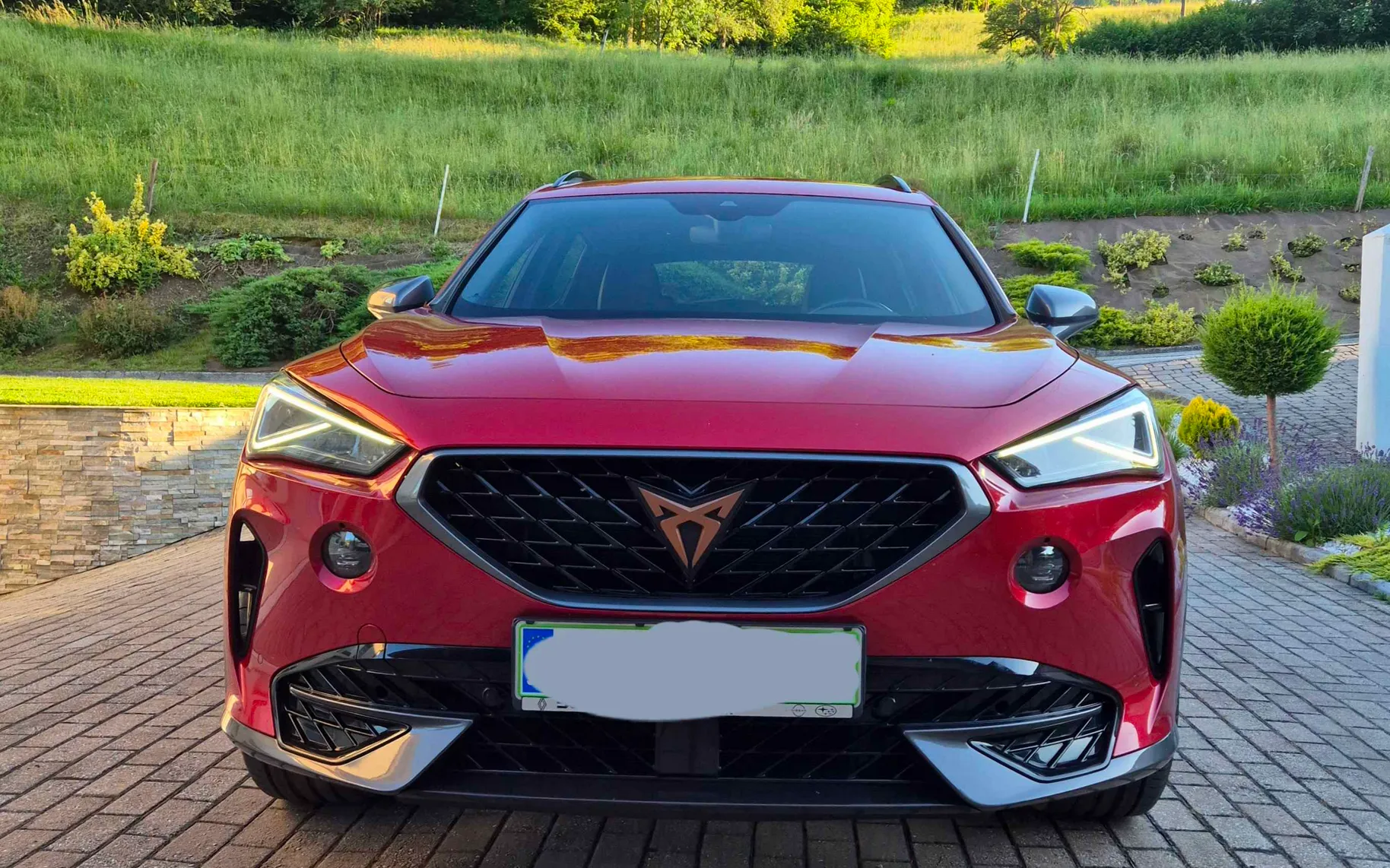 Zunanja slika - Cupra Formentor - 1,5 TSI DSG - 3