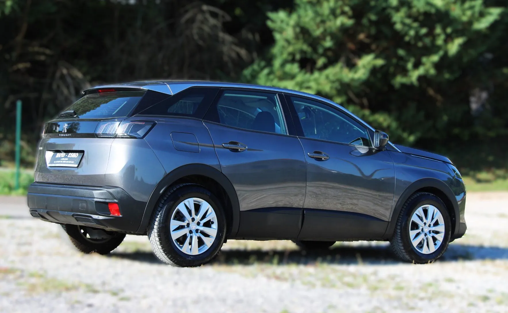 Zunanja slika - Peugeot 3008 - 1.5 BlueHDI 130 BUSINESS Avt._ALU_NAVI_PDC_KAMERA - 10