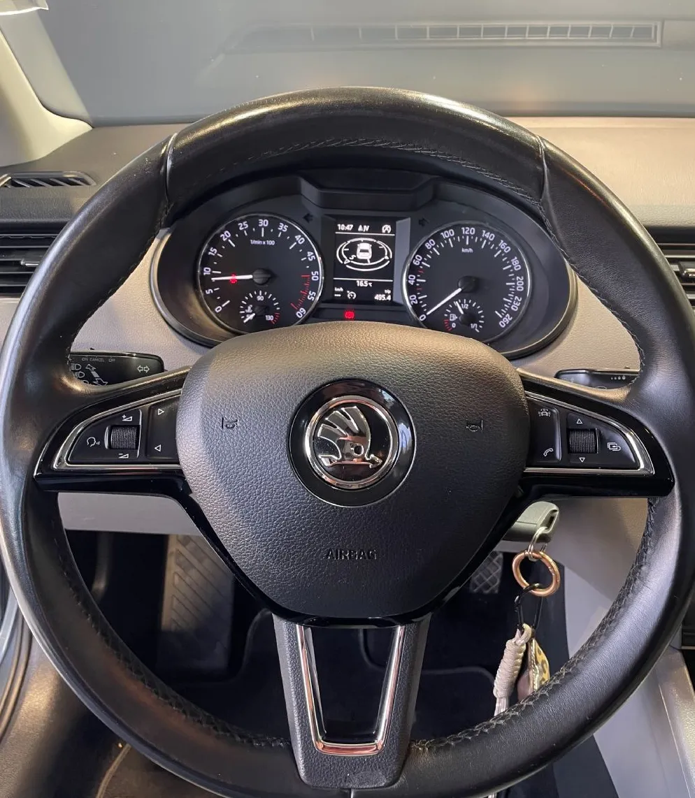 Zunanja slika - Škoda Octavia - VELIK SERVIS-NAVIGACIJA-TEMPOMAT-PDC-ALU-AVT.KLIMA - 13