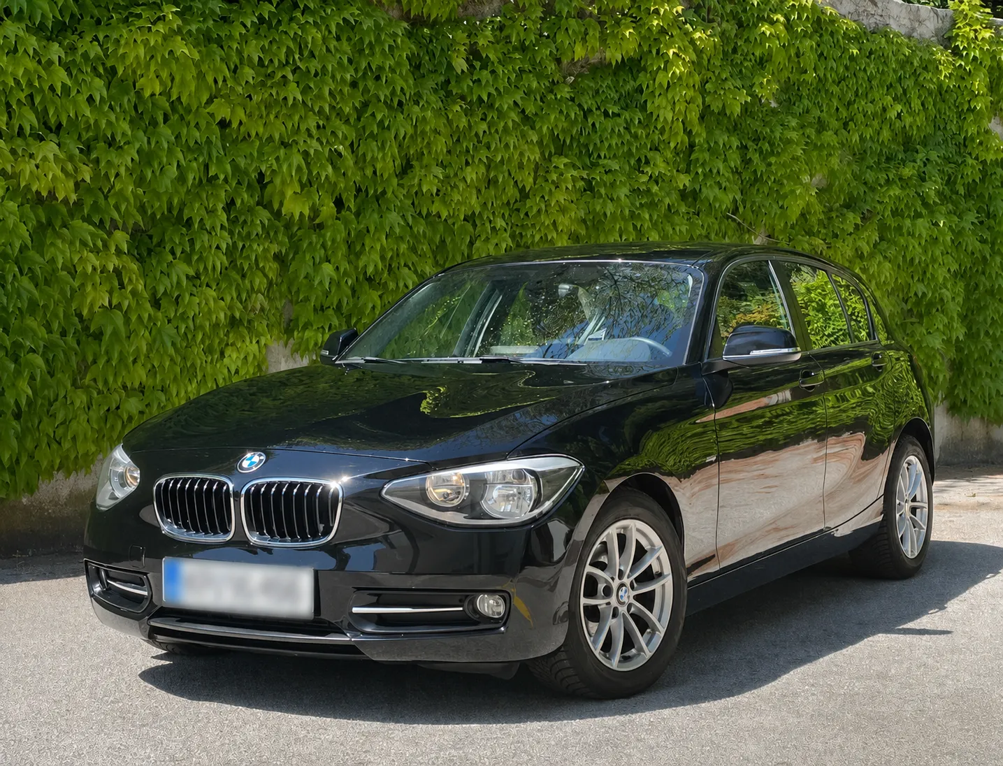 Zunanja slika - BMW Serija 1 - BMW 116i Sport Line - 1
