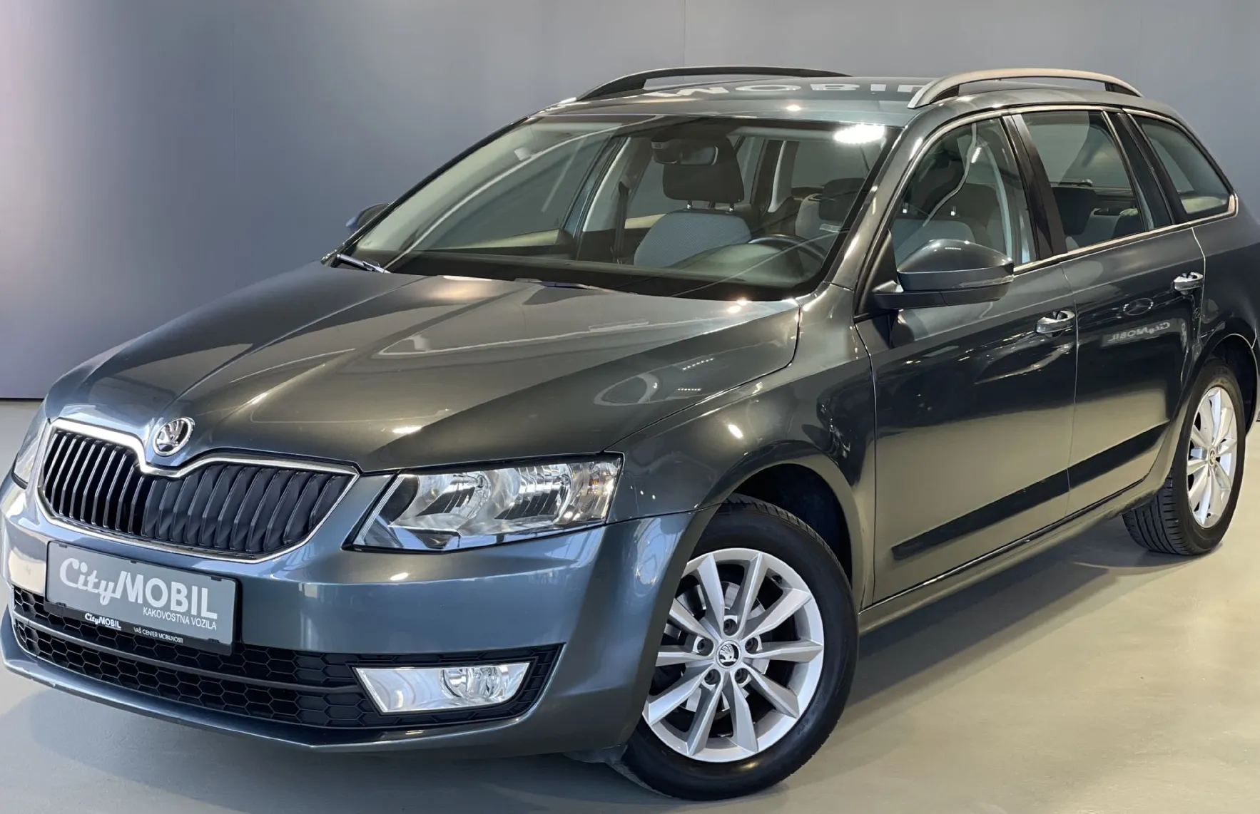 Zunanja slika - Škoda Octavia - VELIK SERVIS-NAVIGACIJA-TEMPOMAT-PDC-ALU-AVT.KLIMA - 1