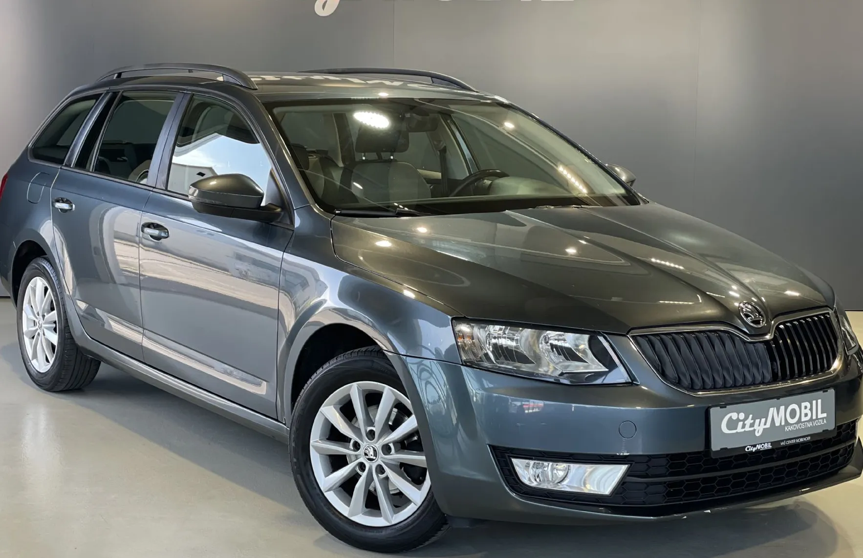 Zunanja slika - Škoda Octavia - VELIK SERVIS-NAVIGACIJA-TEMPOMAT-PDC-ALU-AVT.KLIMA - 3