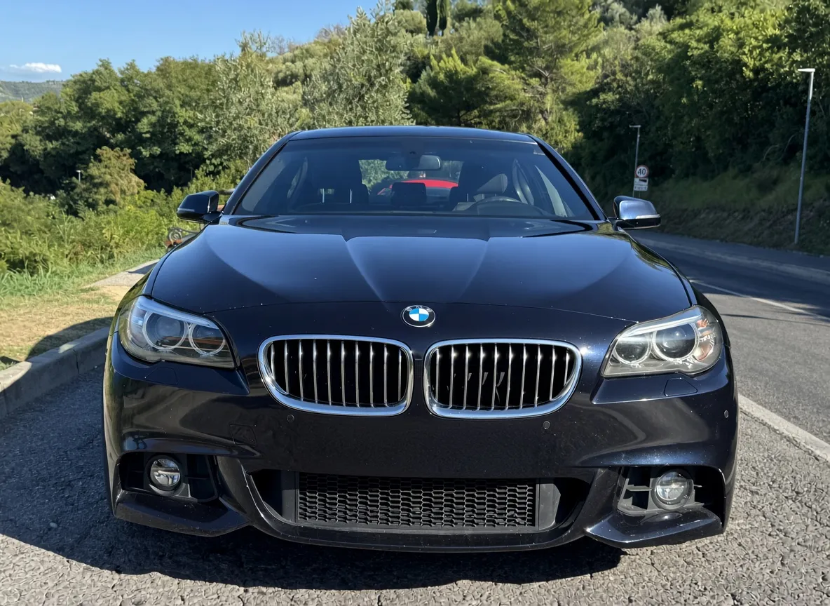 Zunanja slika - BMW Serija 5 - BMW 525d xDrive - 2