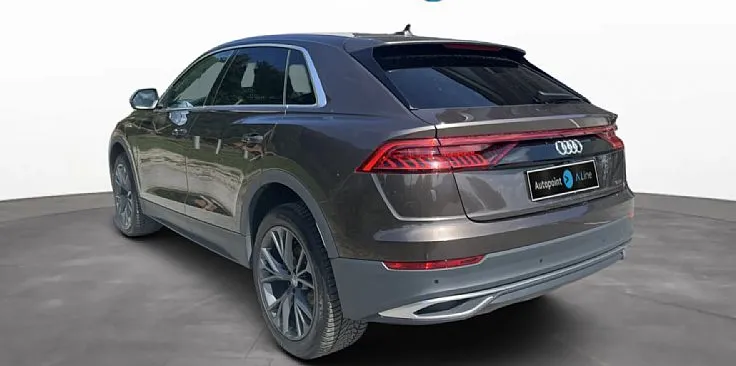 Zunanja slika - Audi Q8 - quattro 50 TDI Tiptronic - 4