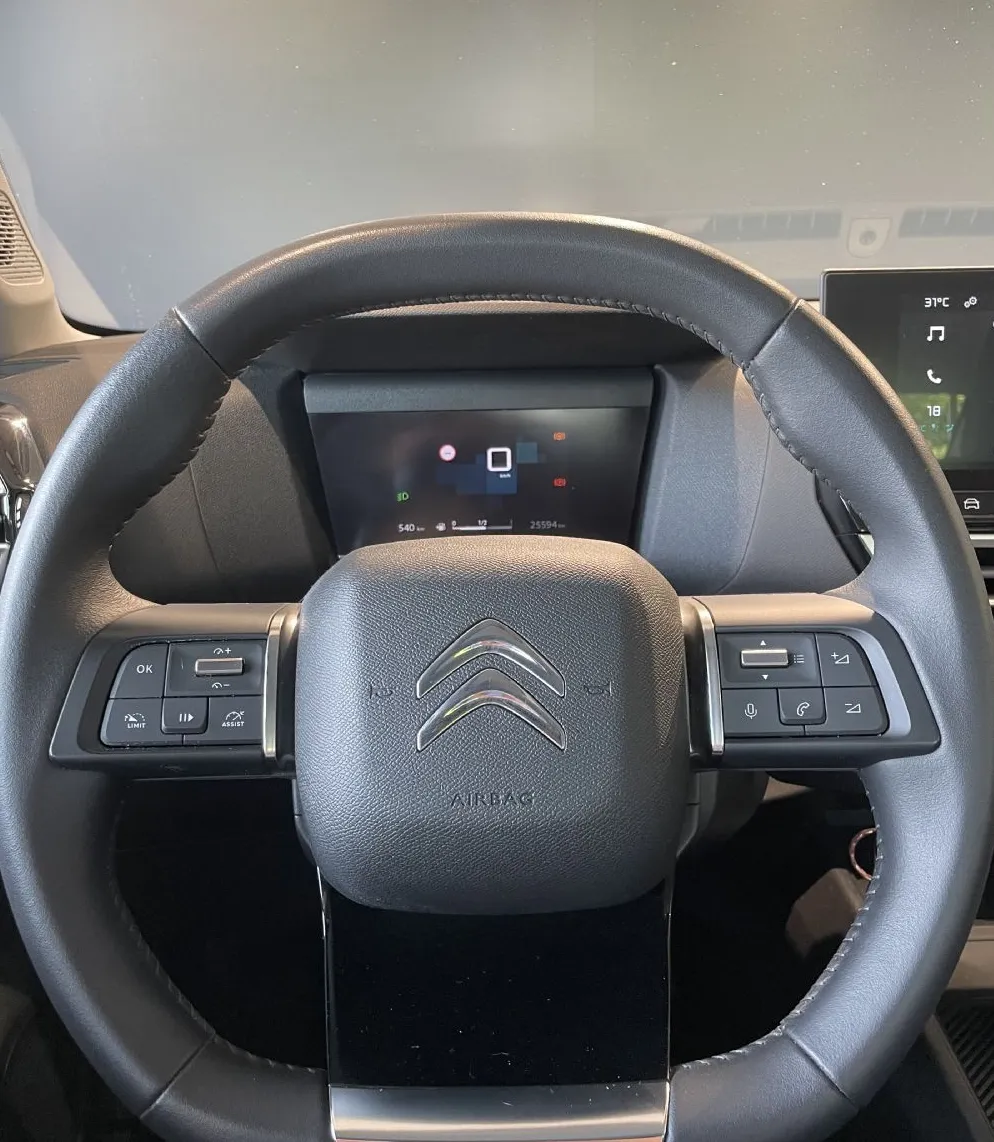 Zunanja slika - Citroën C4 X - 1.LASTNIK-TEMPOMAT-KAMERA-GRETJE SEDEŽEV - 12
