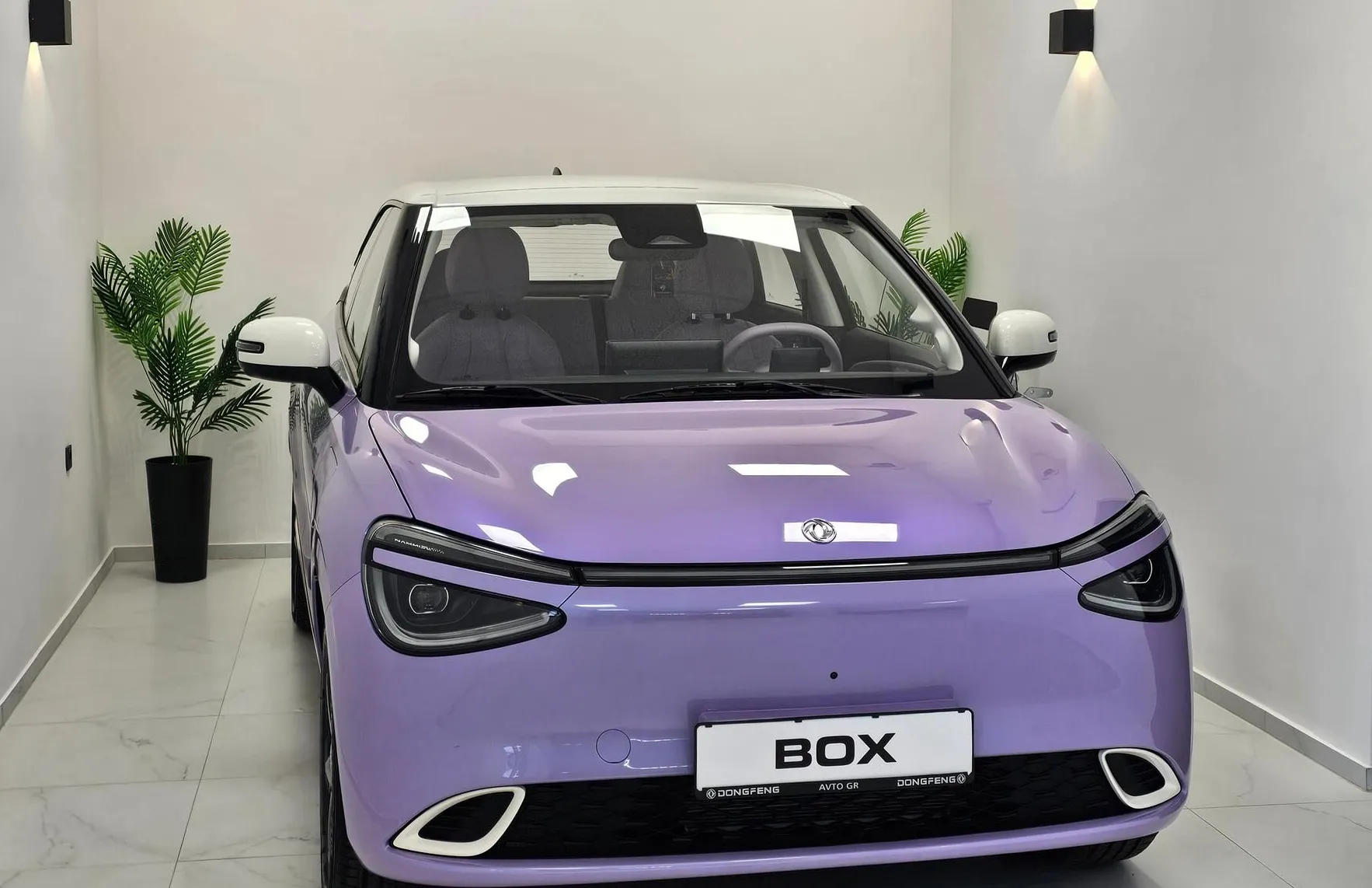 Zunanja slika - Dongfeng Box - Long Range-PURPLE- NA ZALOGI - 13