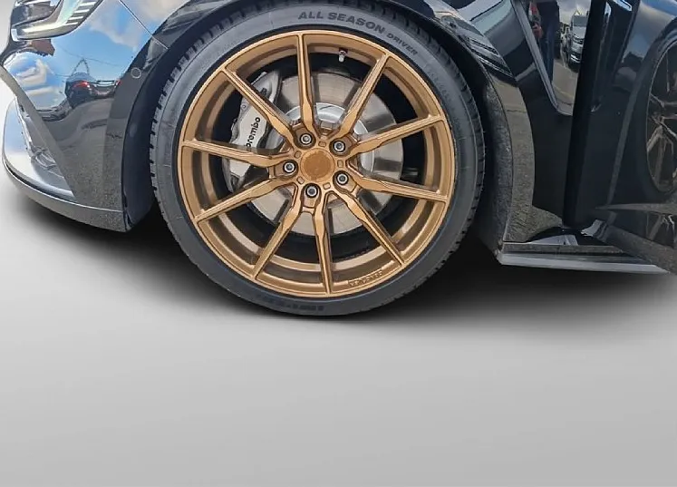 Zunanja slika - Renault Mégane - Megane R.S. 300 - SLO - TOVARNIŠKA GARANCIJA - 13