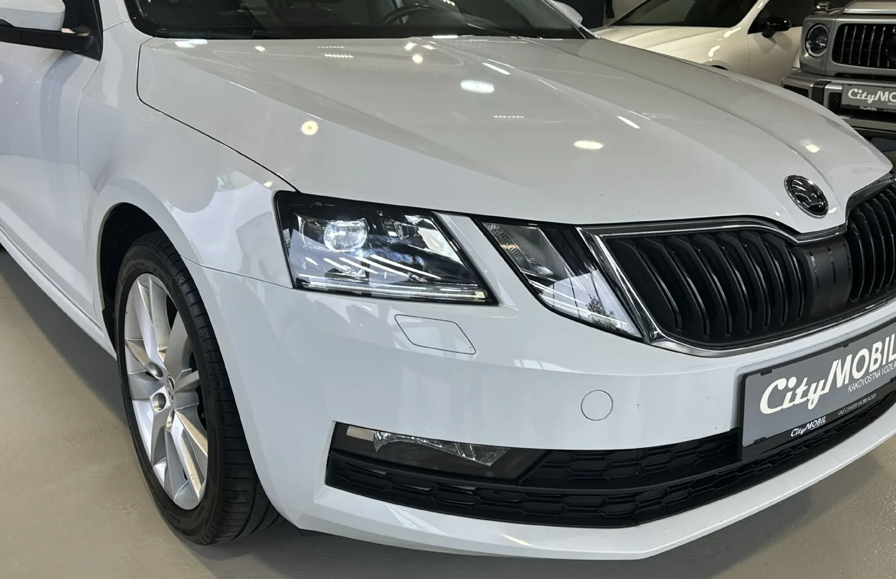 Zunanja slika - Škoda Octavia - 1-LASTNIK-SLO-RADAR-LED-AVTO KLIMA-PDC-ALU - 5