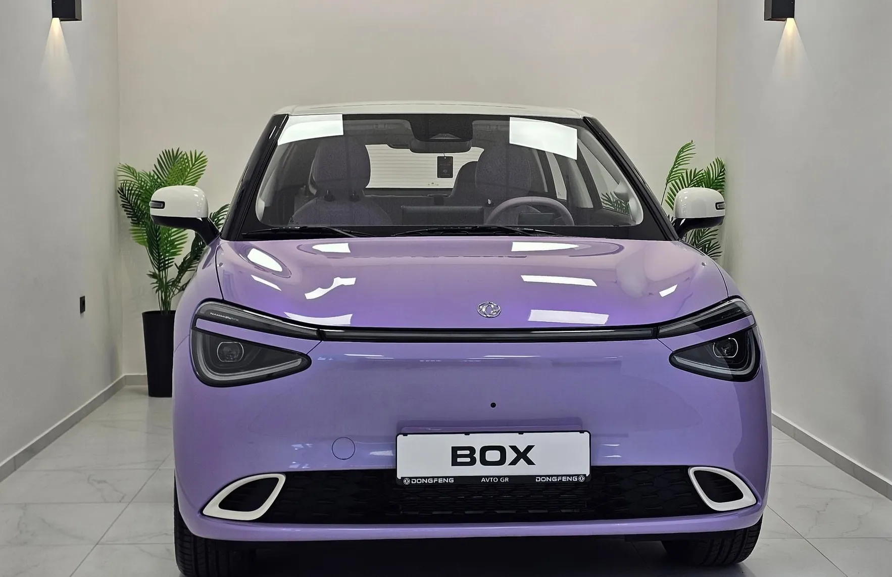 Zunanja slika - Dongfeng Box - Long Range-PURPLE- NA ZALOGI - 12