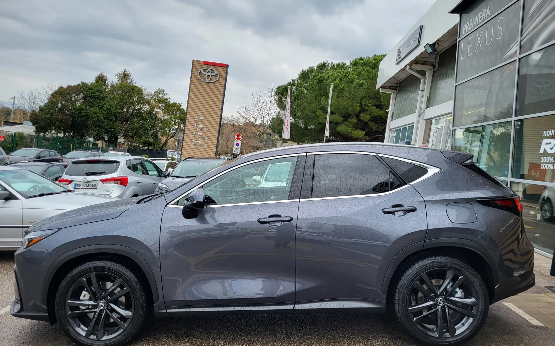 Zunanja slika - Lexus NX - NX - 4