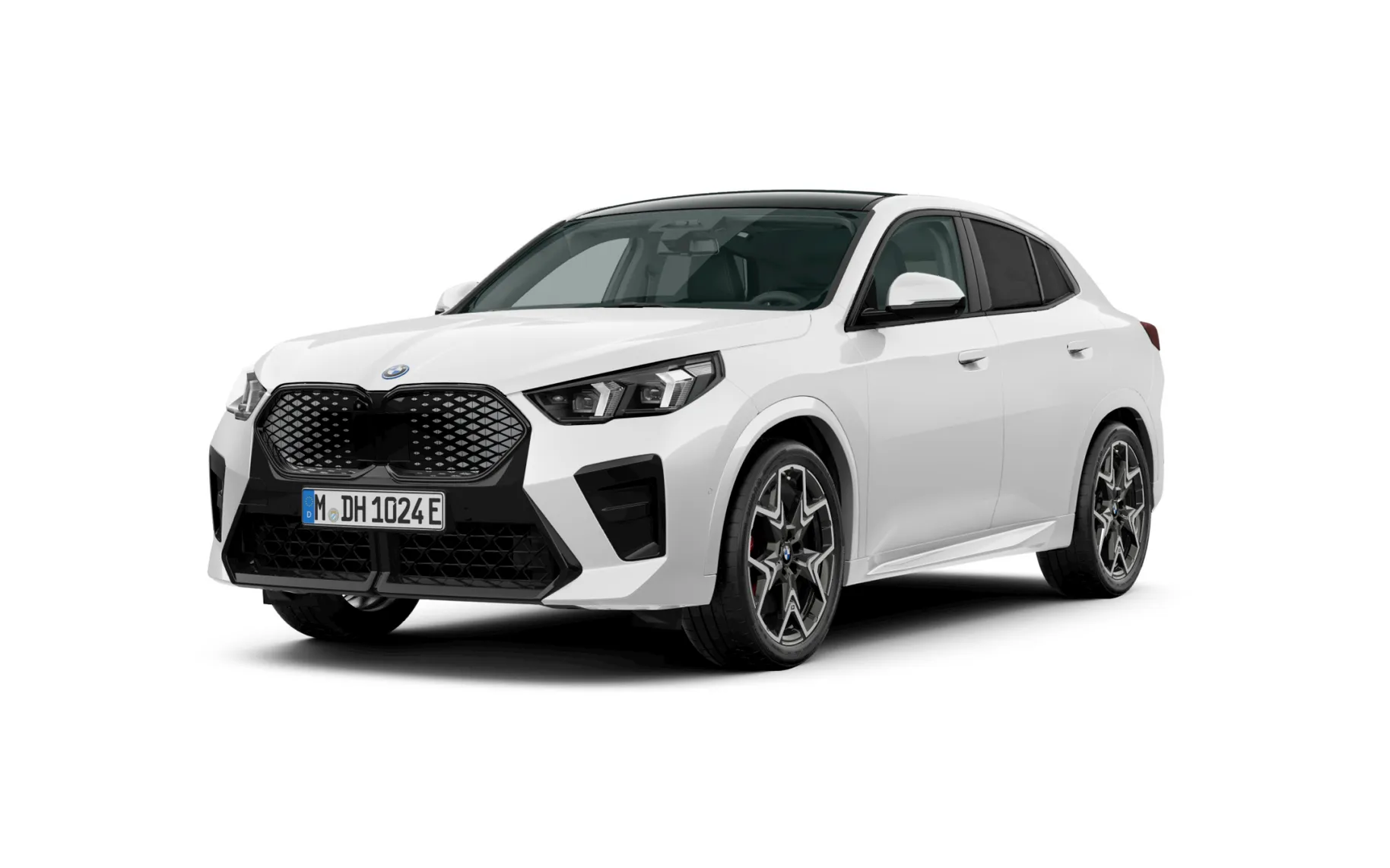Zunanja slika - BMW iX - 2 xDrive30 - 1