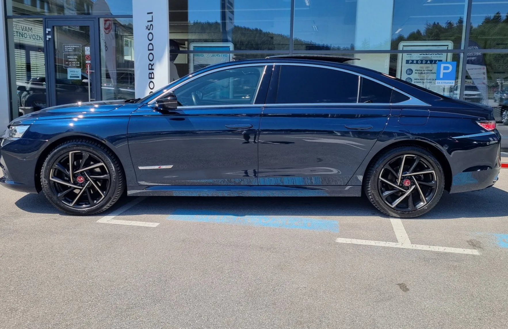 Zunanja slika - DS DS 9 - PERFORMANCE LINE+ 1.6 PHEV - TOP OPREMA - ODLIČEN - 5