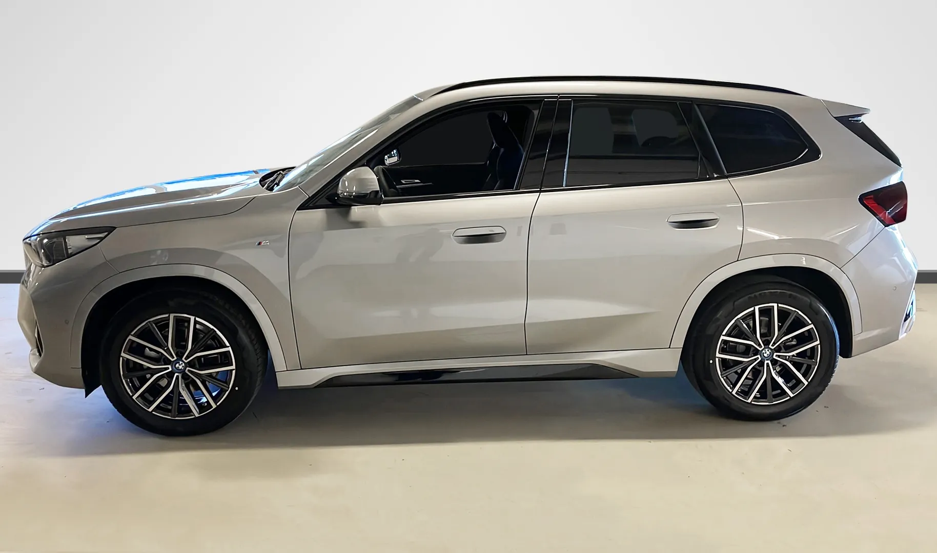 Zunanja slika - BMW iX - 1 xDrive30 - 3