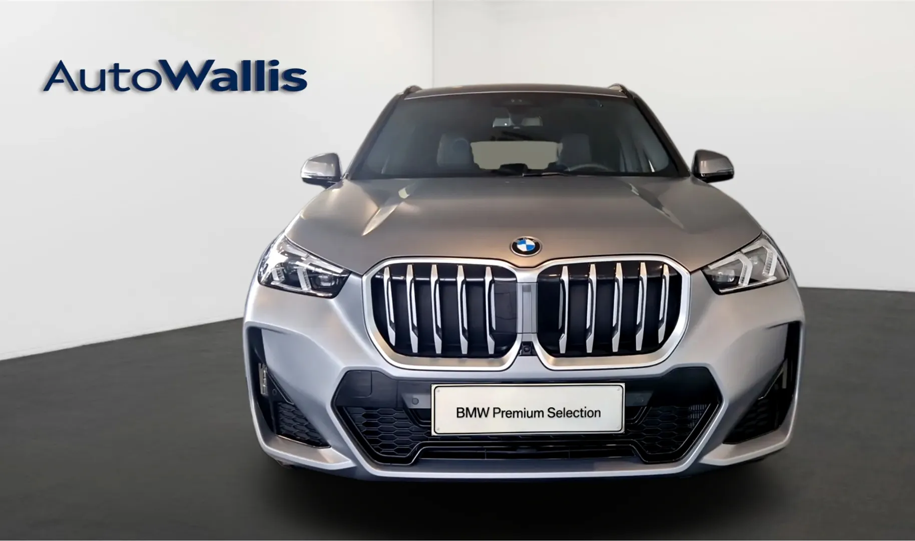 Zunanja slika - BMW X1 - sDrive20i - 12