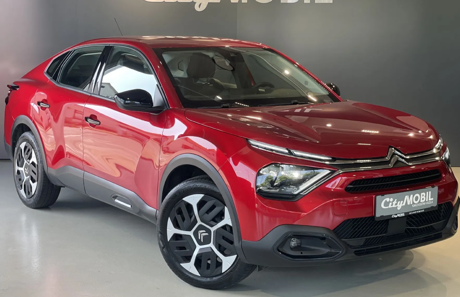 Zunanja slika - Citroën C4 X - 1.LASTNIK-TEMPOMAT-KAMERA-GRETJE SEDEŽEV - 3
