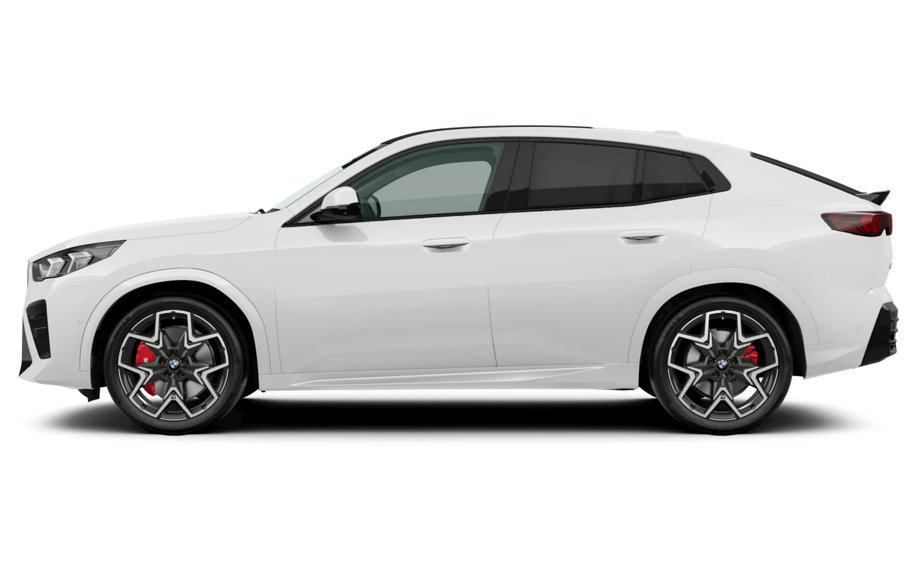 Zunanja slika - BMW iX - 2 xDrive30 - 3