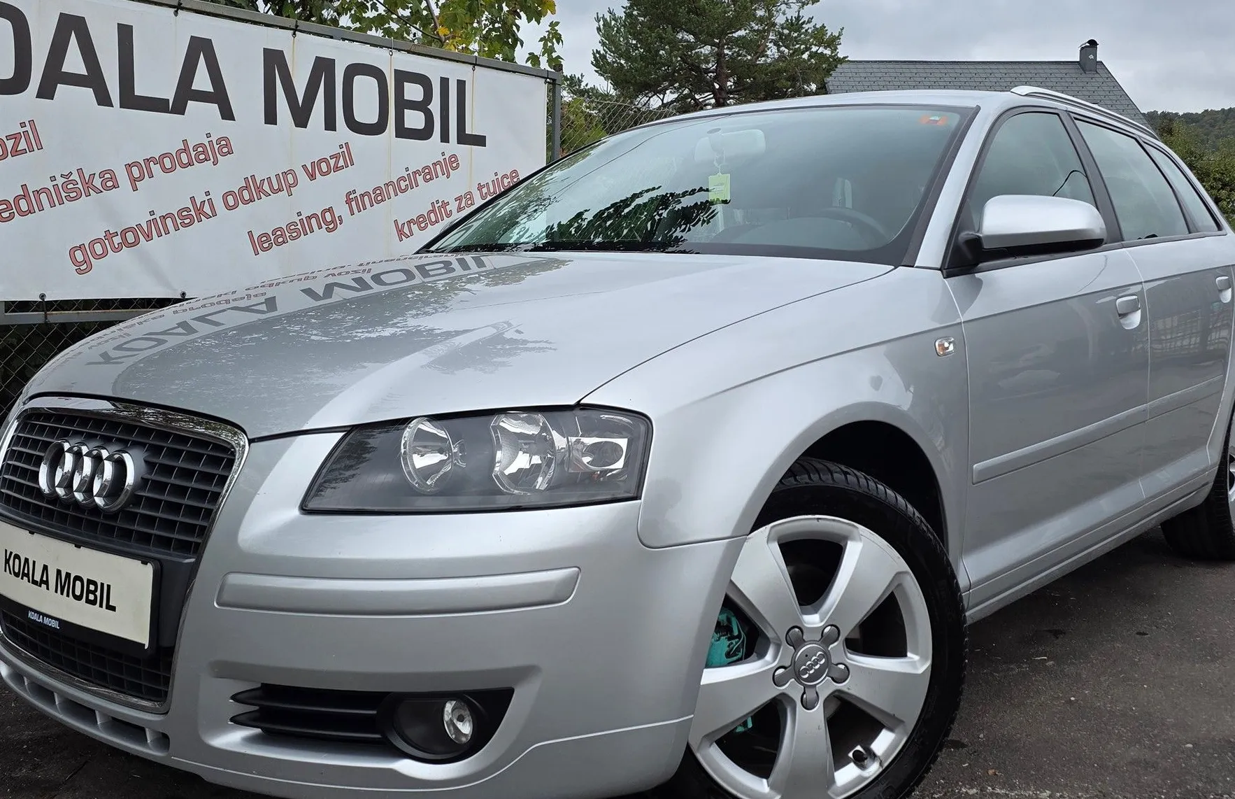 Zunanja slika - Audi A3 - 2.0 TDI DPF ALU PLATIŠČA-KLIMA-SLOVENSKI - 17