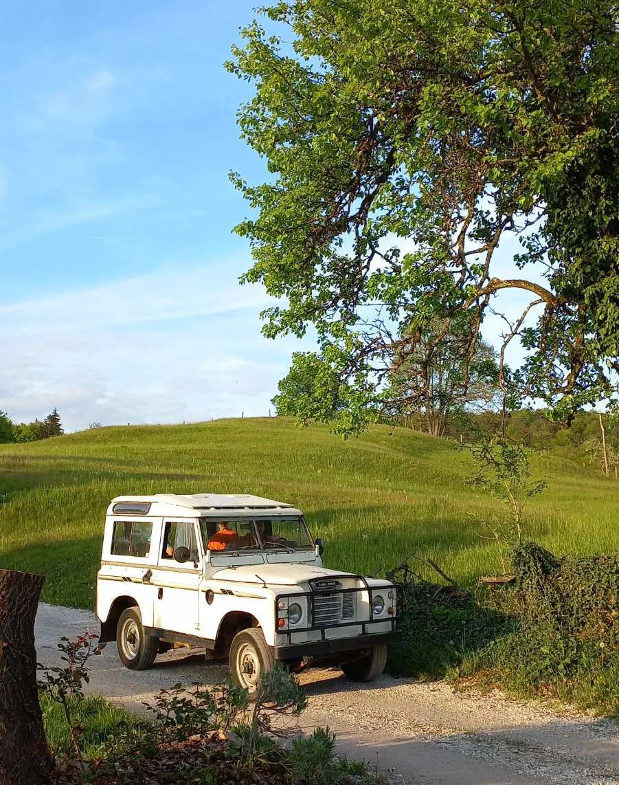 Zunanja slika - Land Rover Defender - Serija A2 - 1
